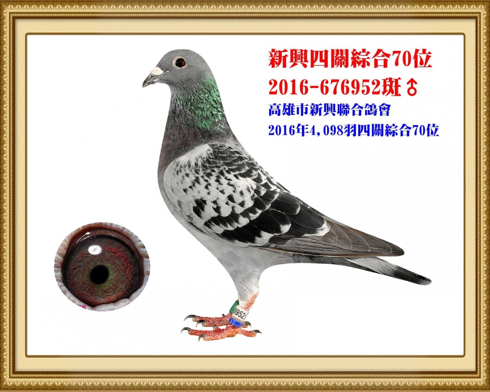 2016-676952 拷貝.jpg