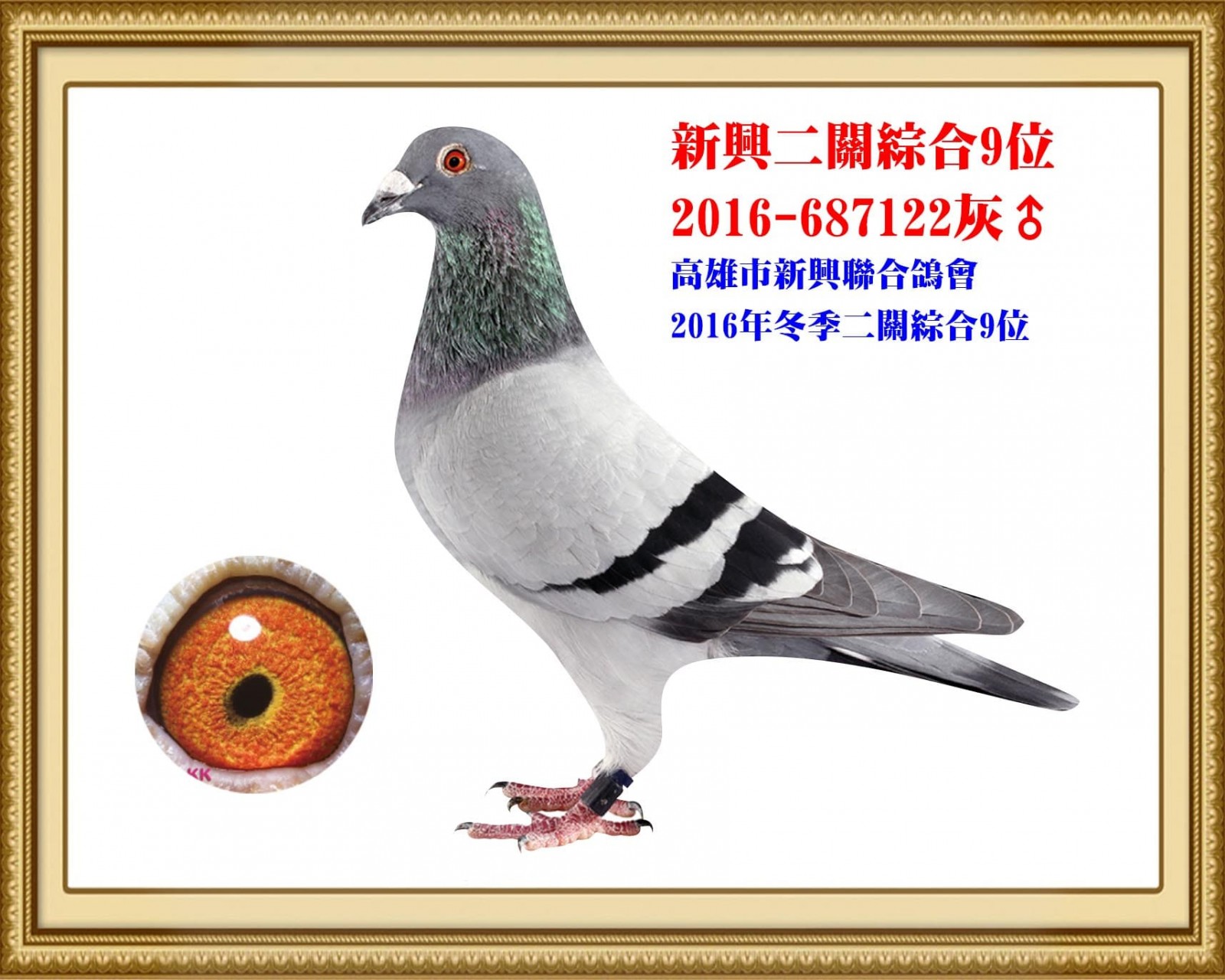 2016-687122 拷貝.jpg