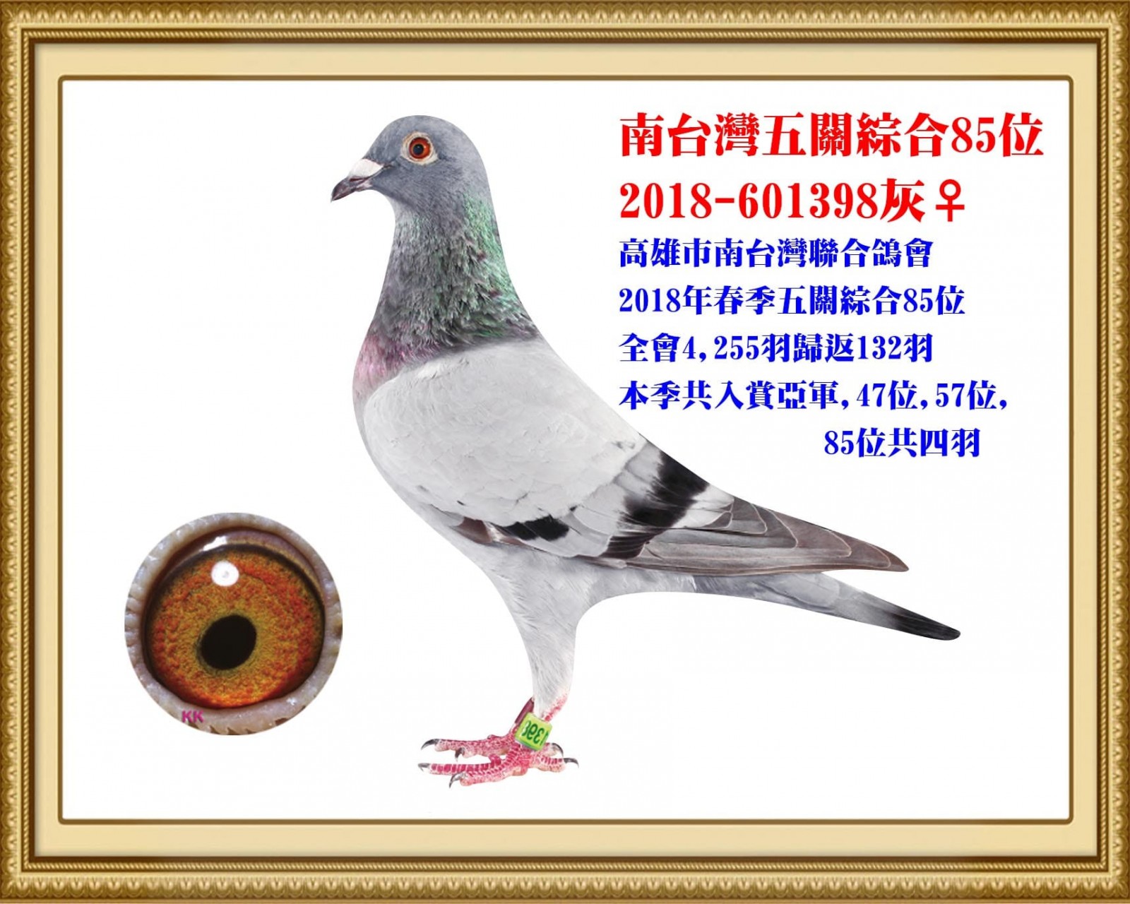2018-601398 拷貝.jpg