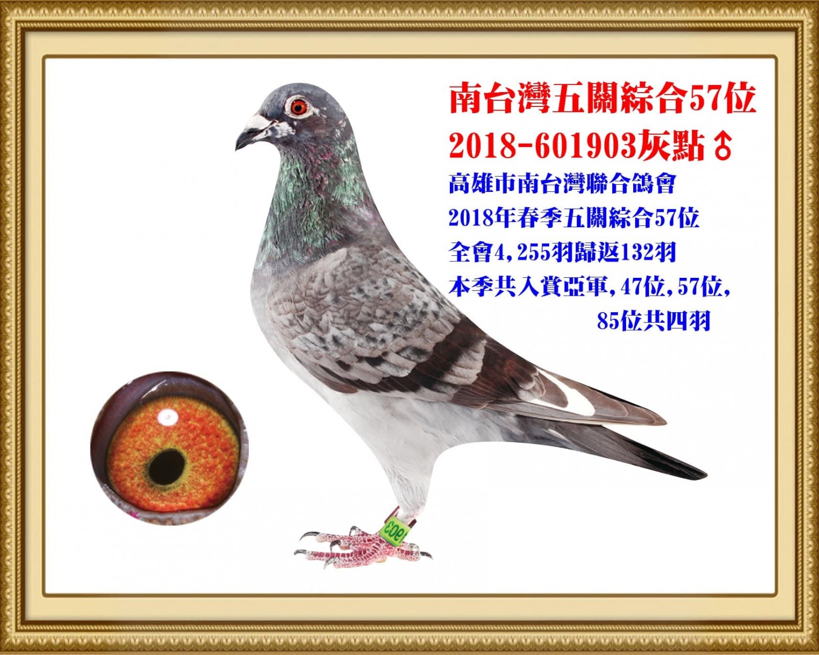 2018-601903 拷貝.jpg