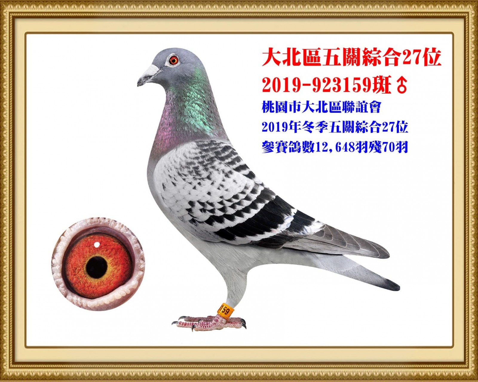 2019-923159 拷貝.jpg