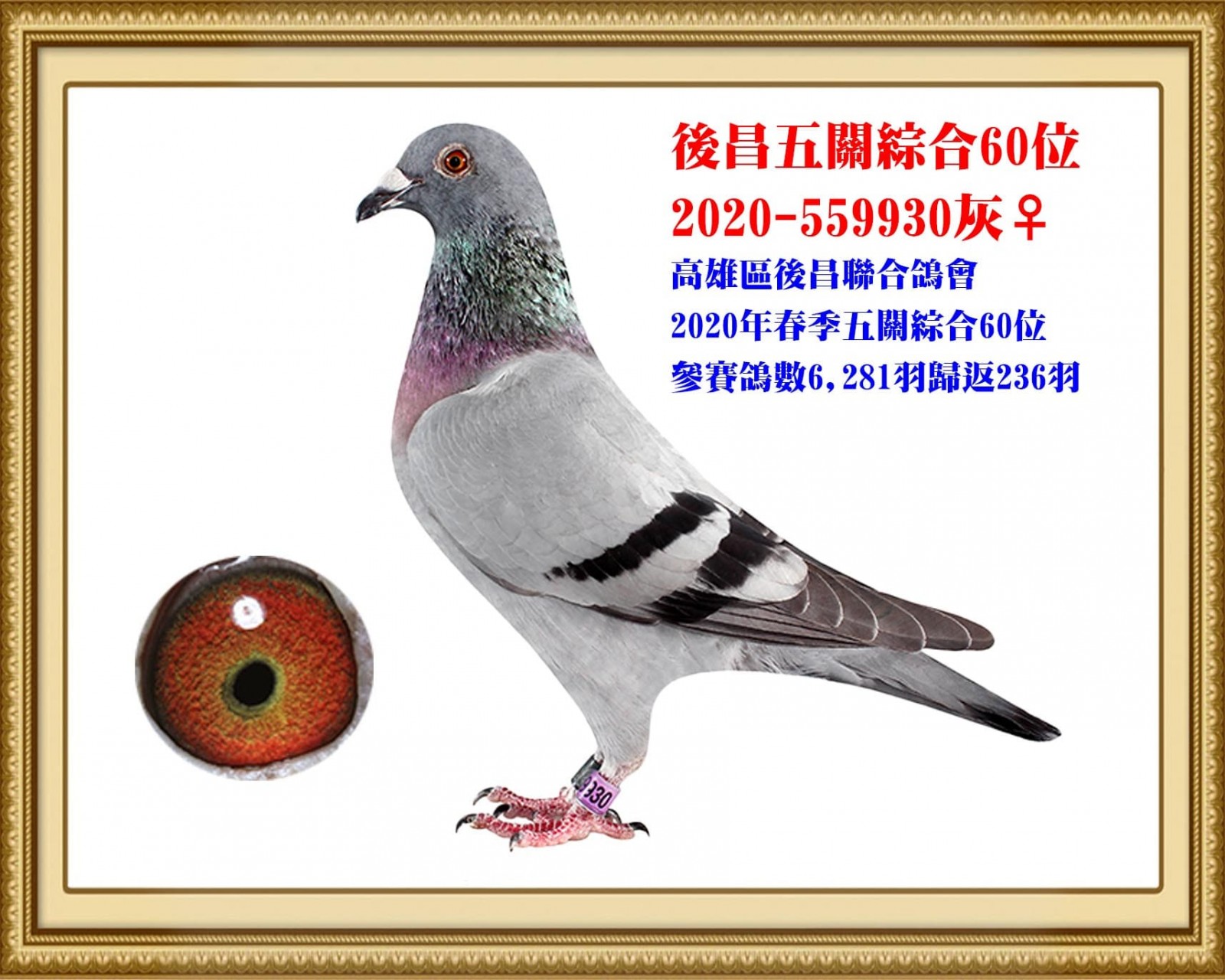 2020-559930 拷貝.jpg