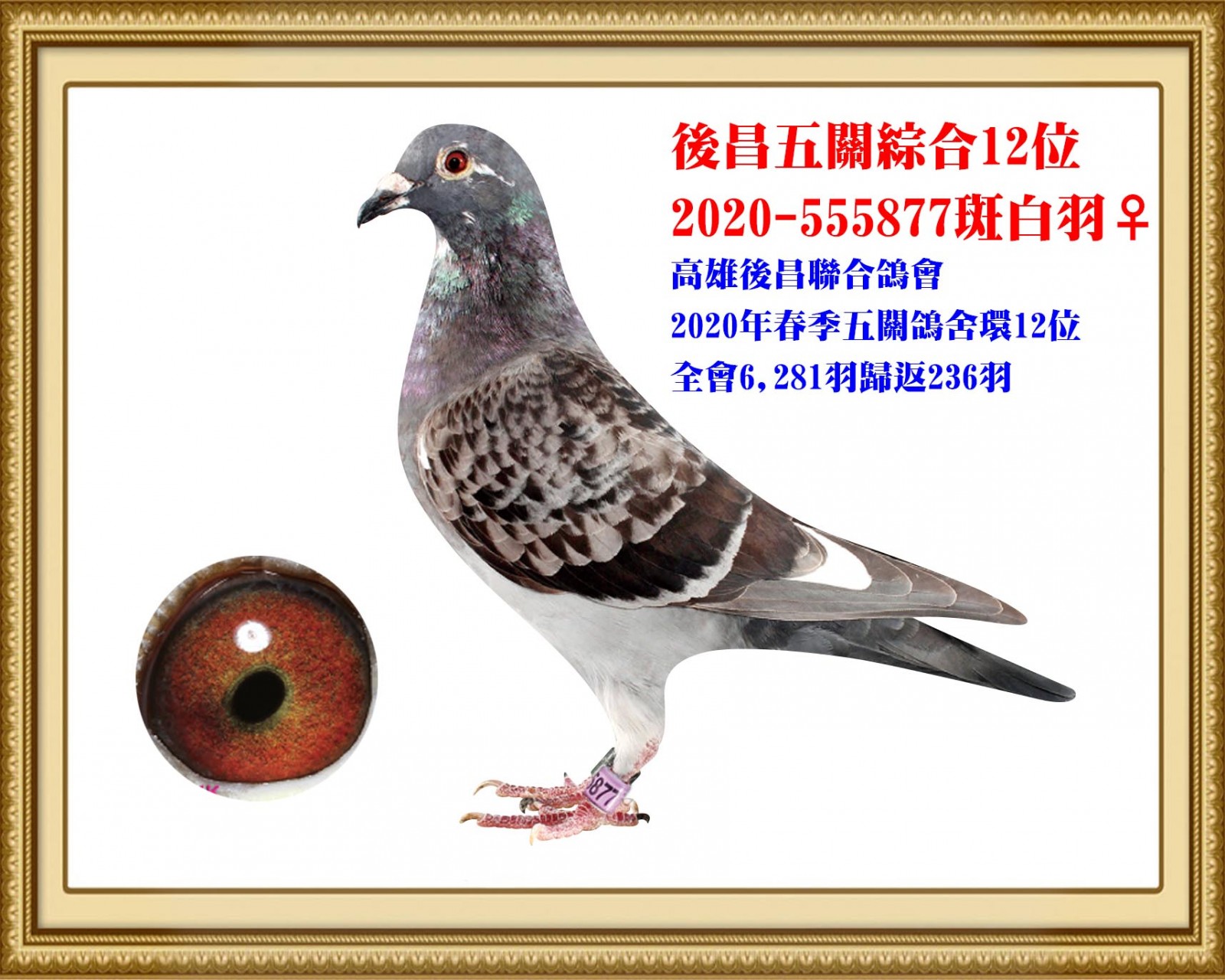 2020-555877 拷貝.jpg