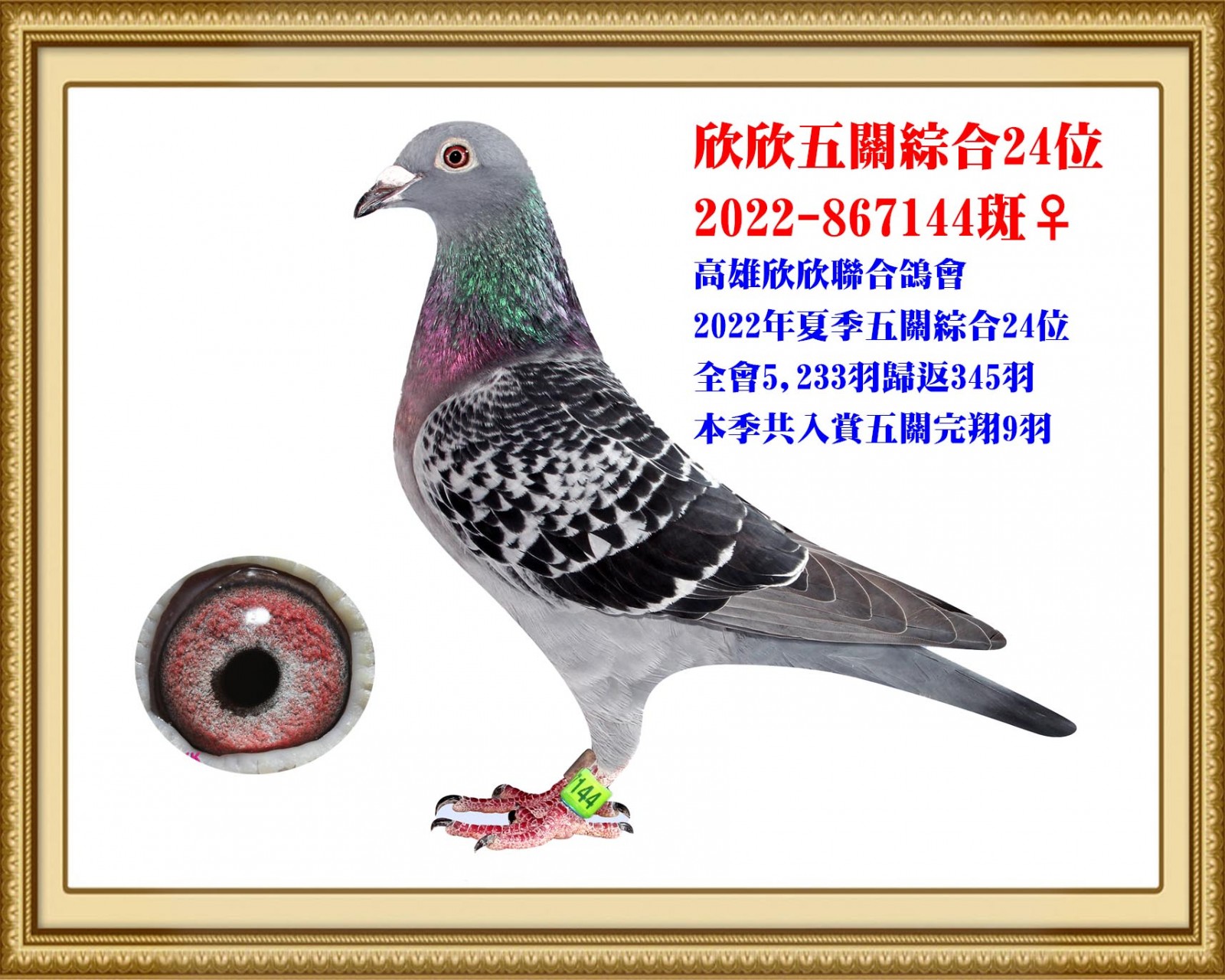 2022-867144 拷貝.jpg