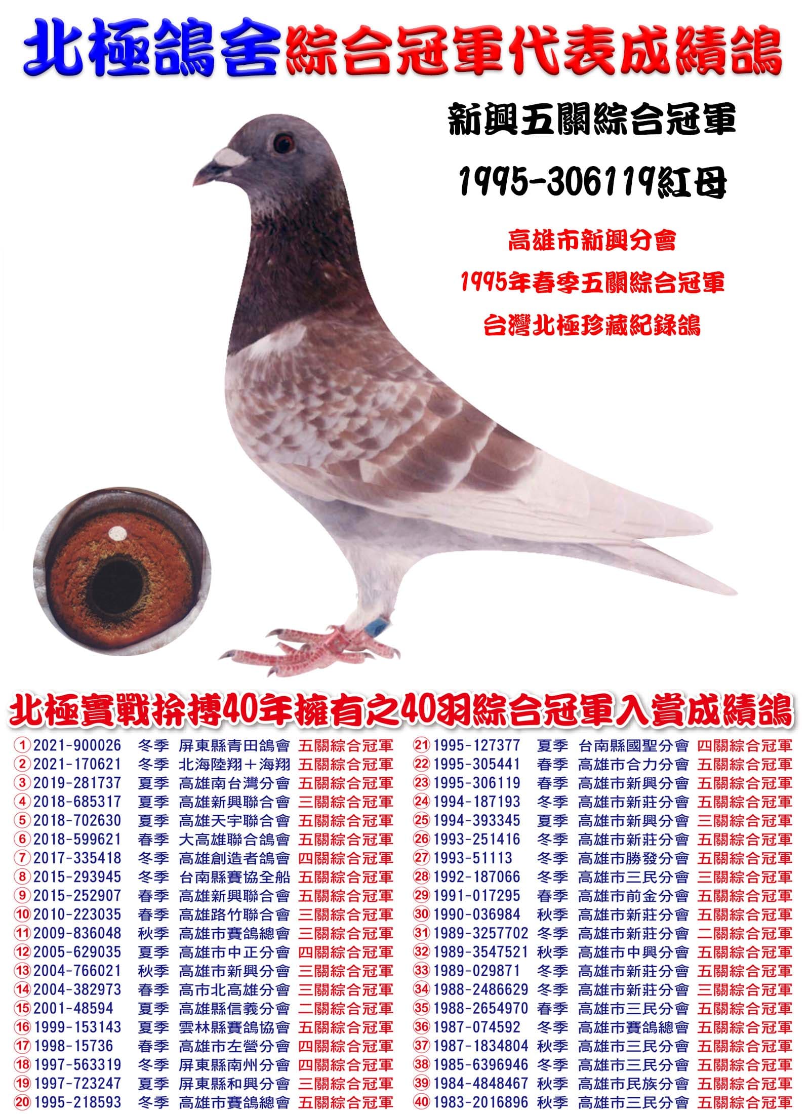 1995-306119 拷貝.jpg