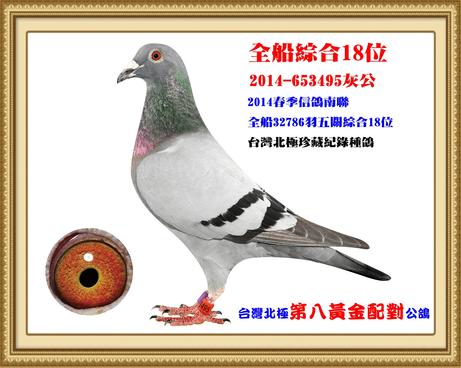 2014-653495.jpg