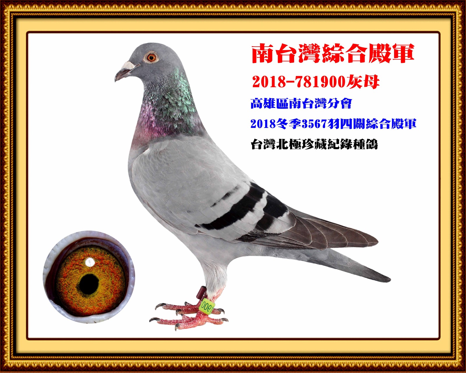 2018-781900 拷貝.jpg