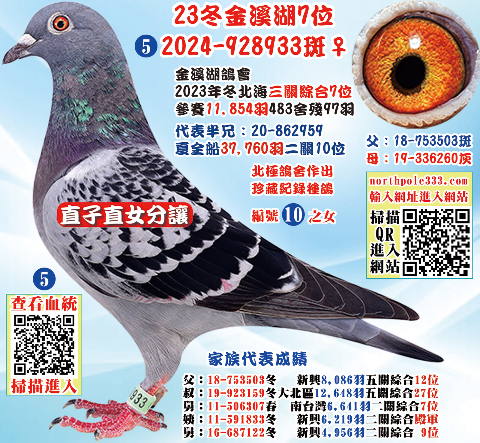 網5.jpg