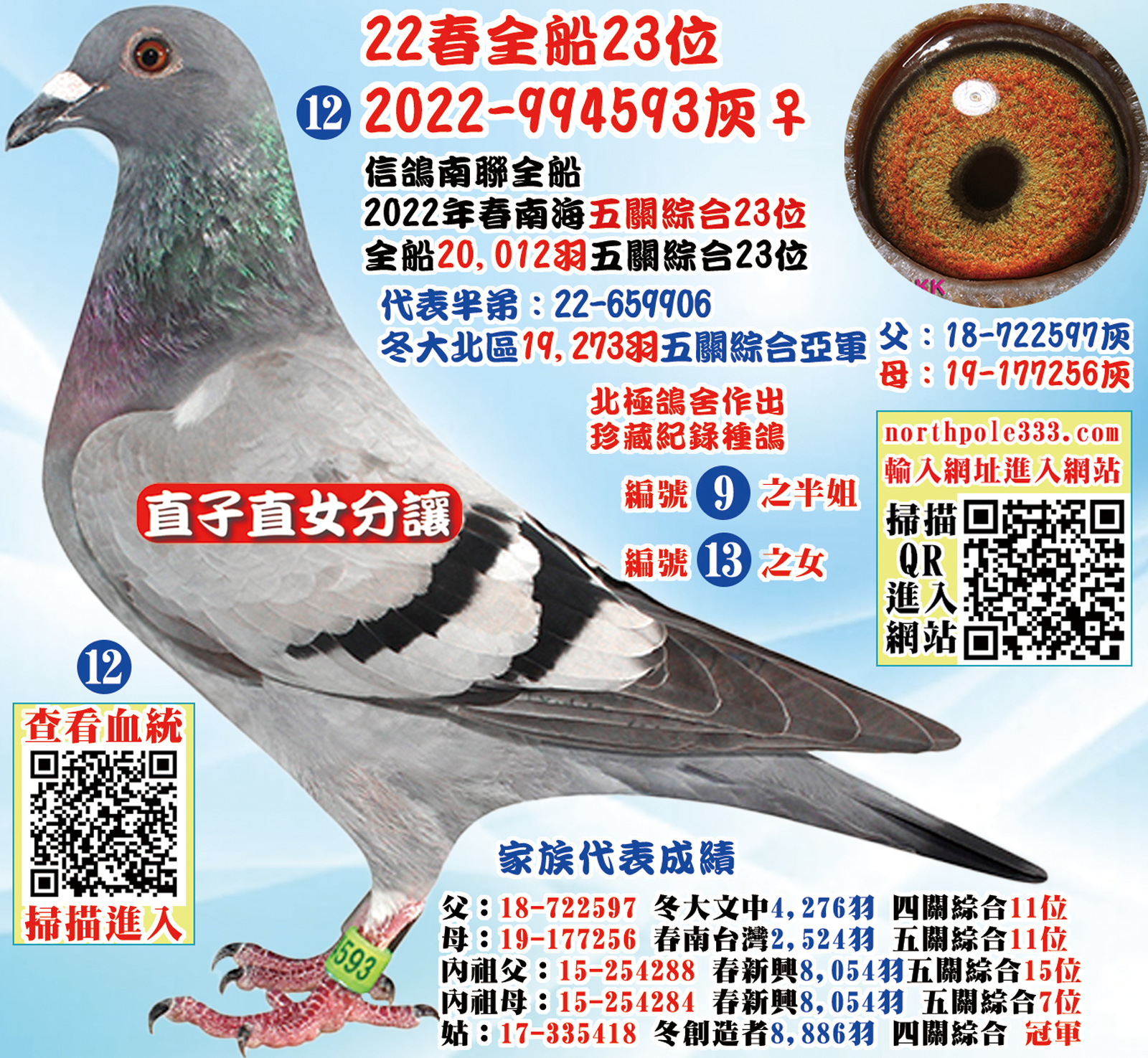 網12.jpg