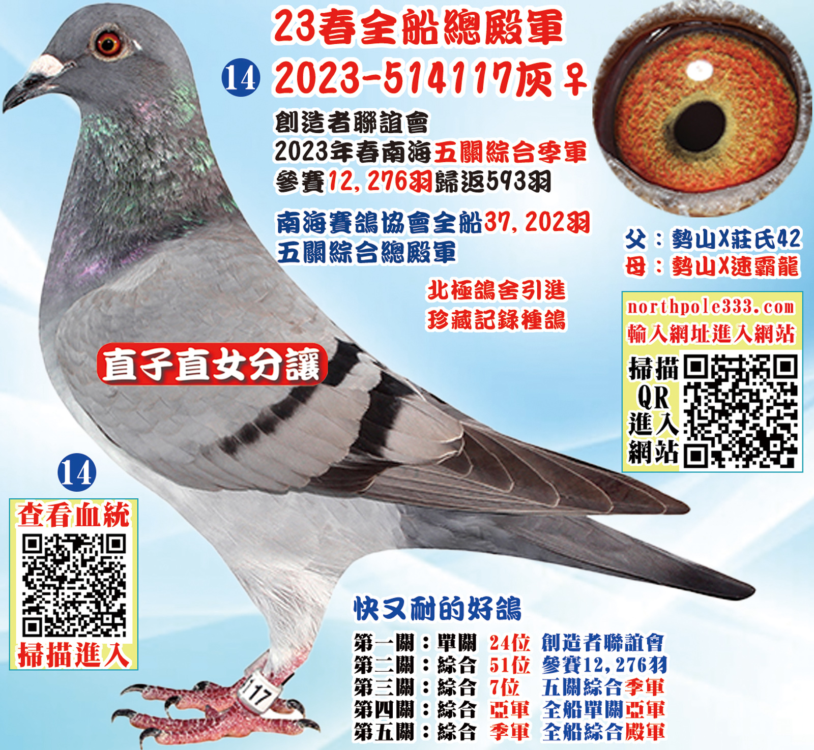 網14.jpg