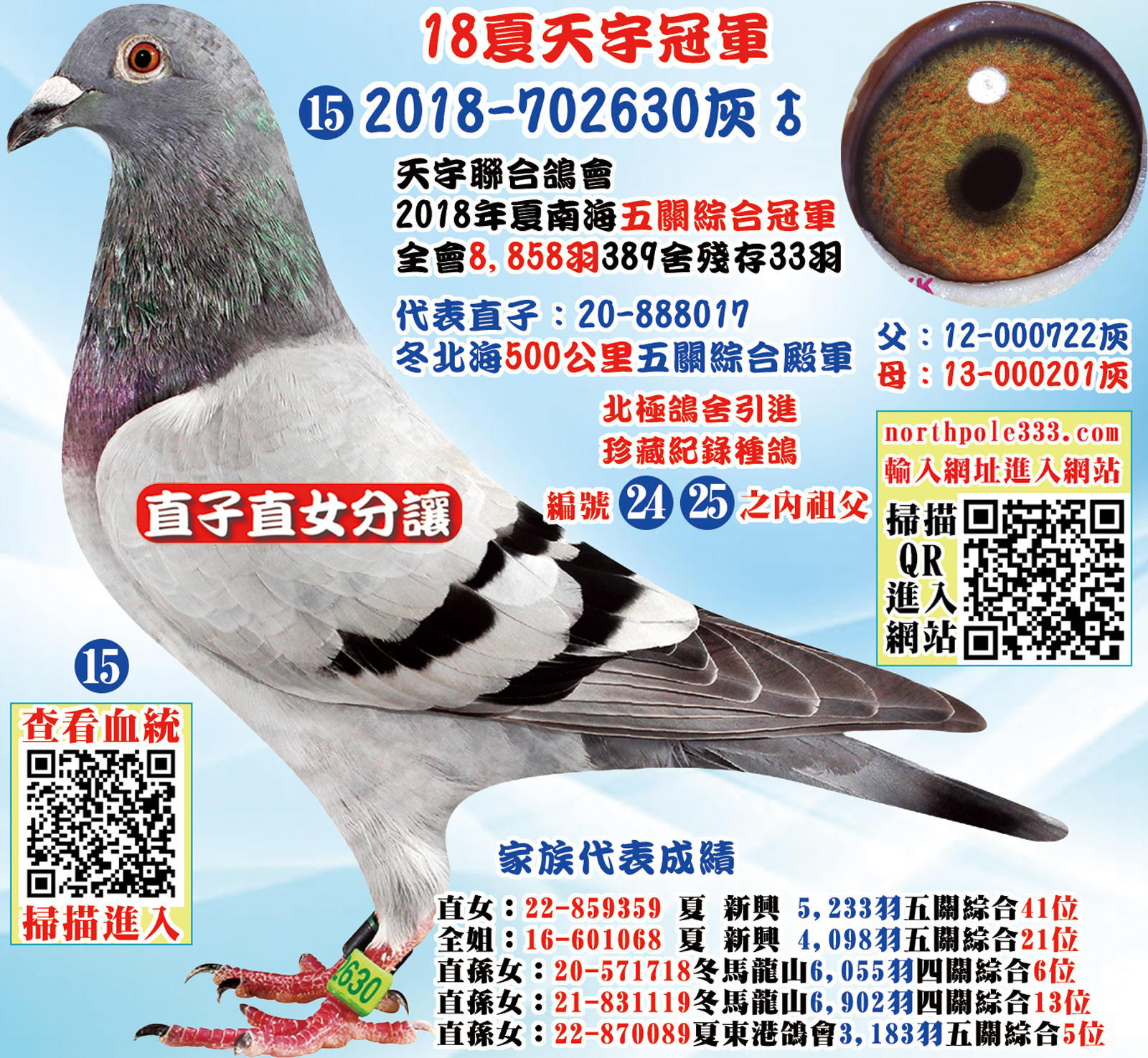 網15.jpg