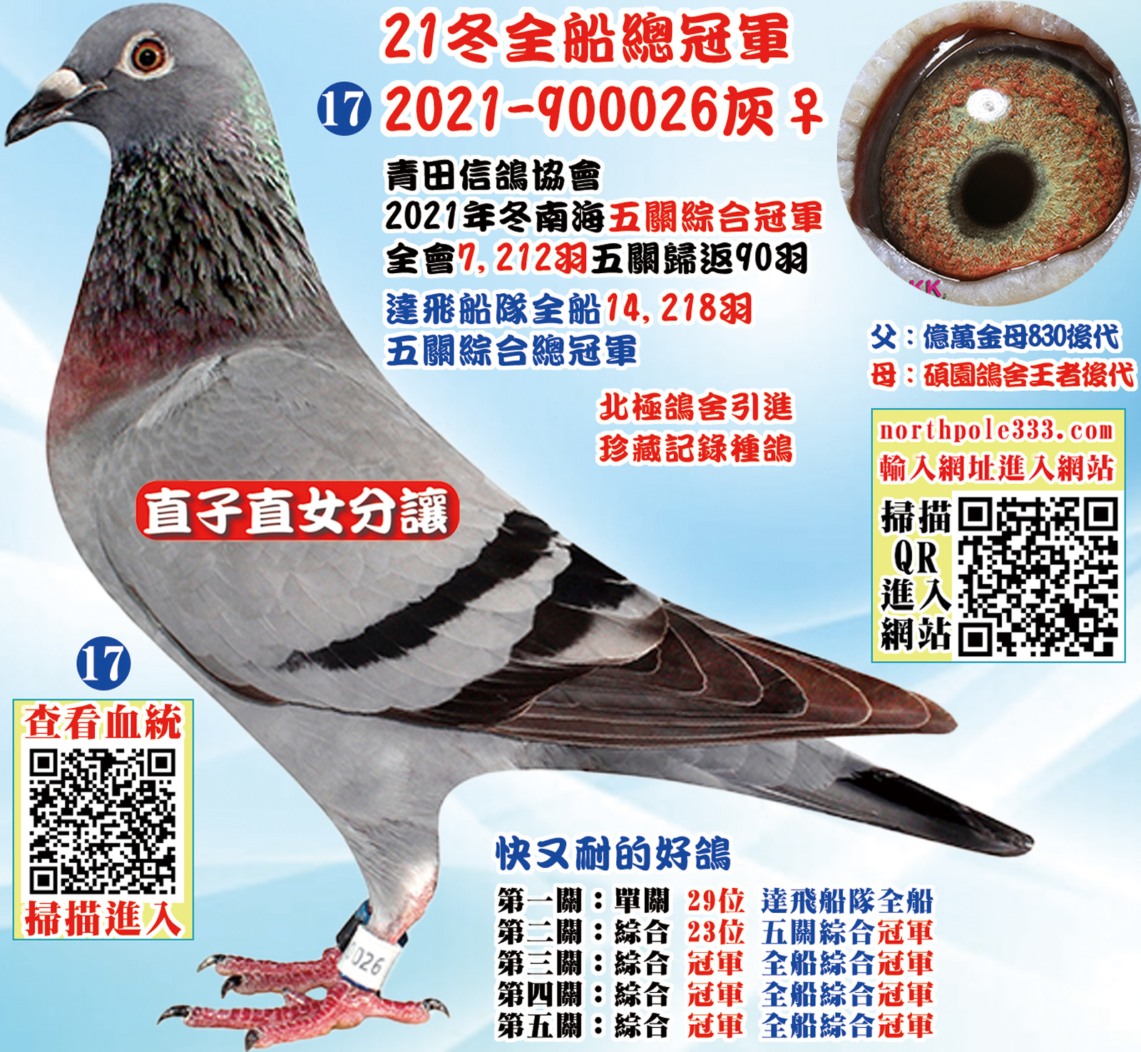 網17.jpg