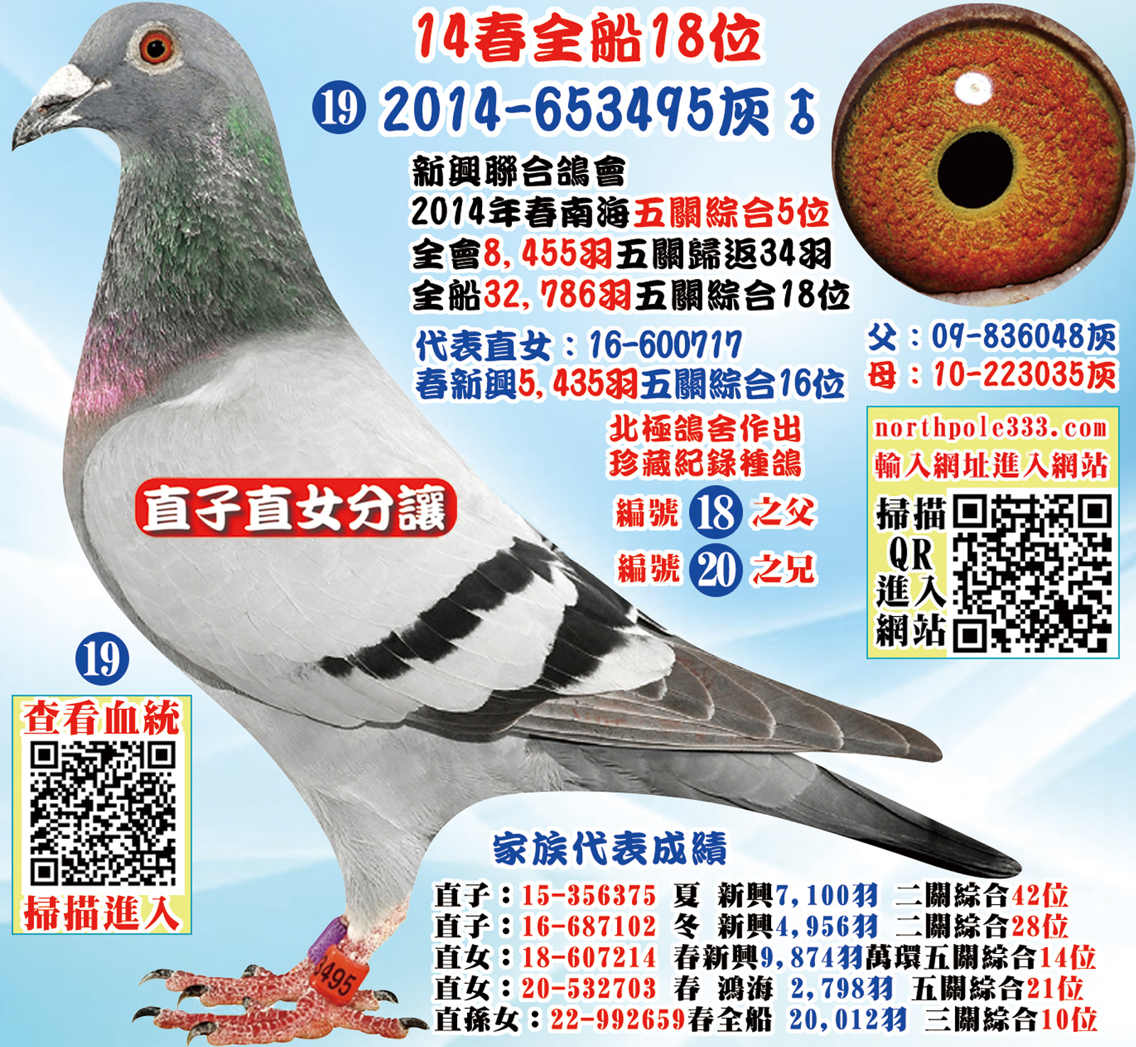 網19.jpg