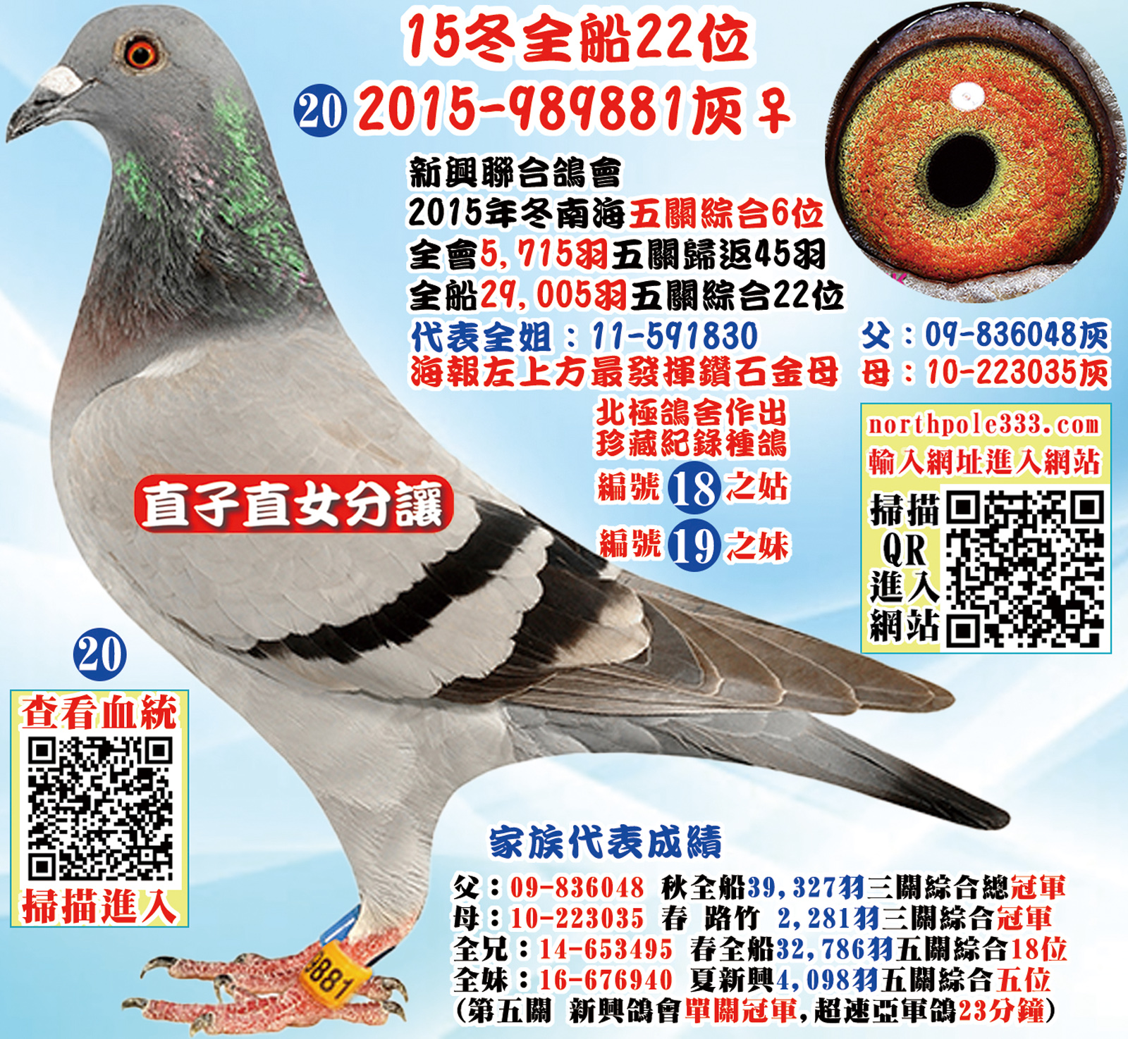 網20.jpg