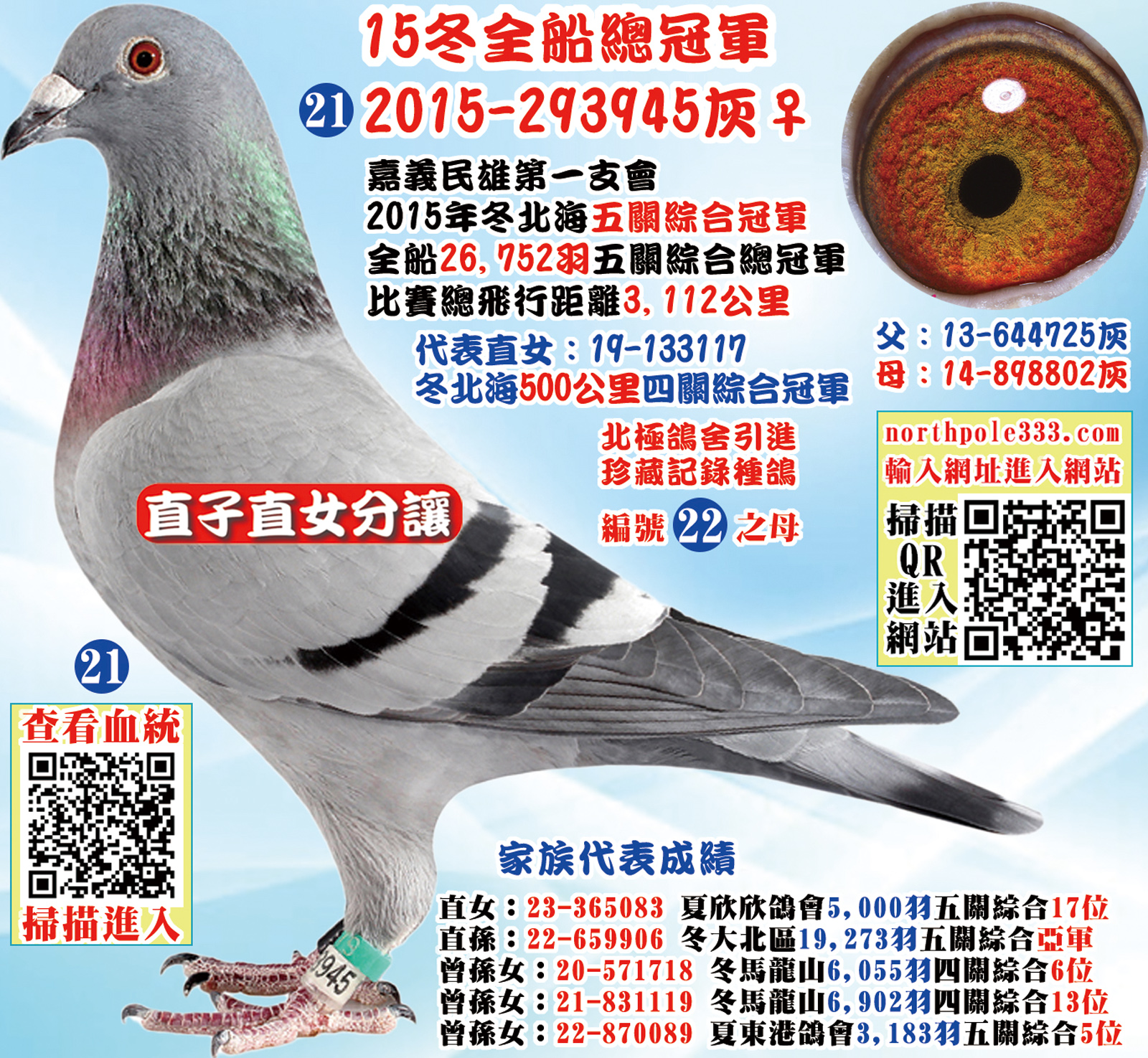 網21.jpg