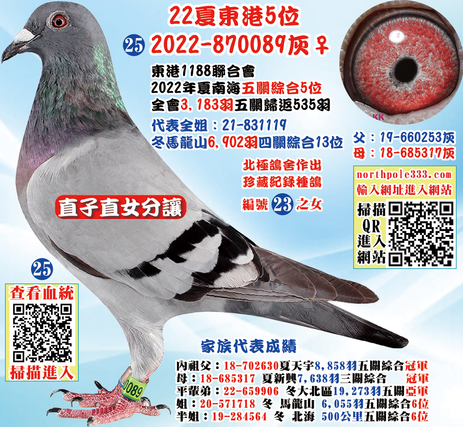 網25.jpg