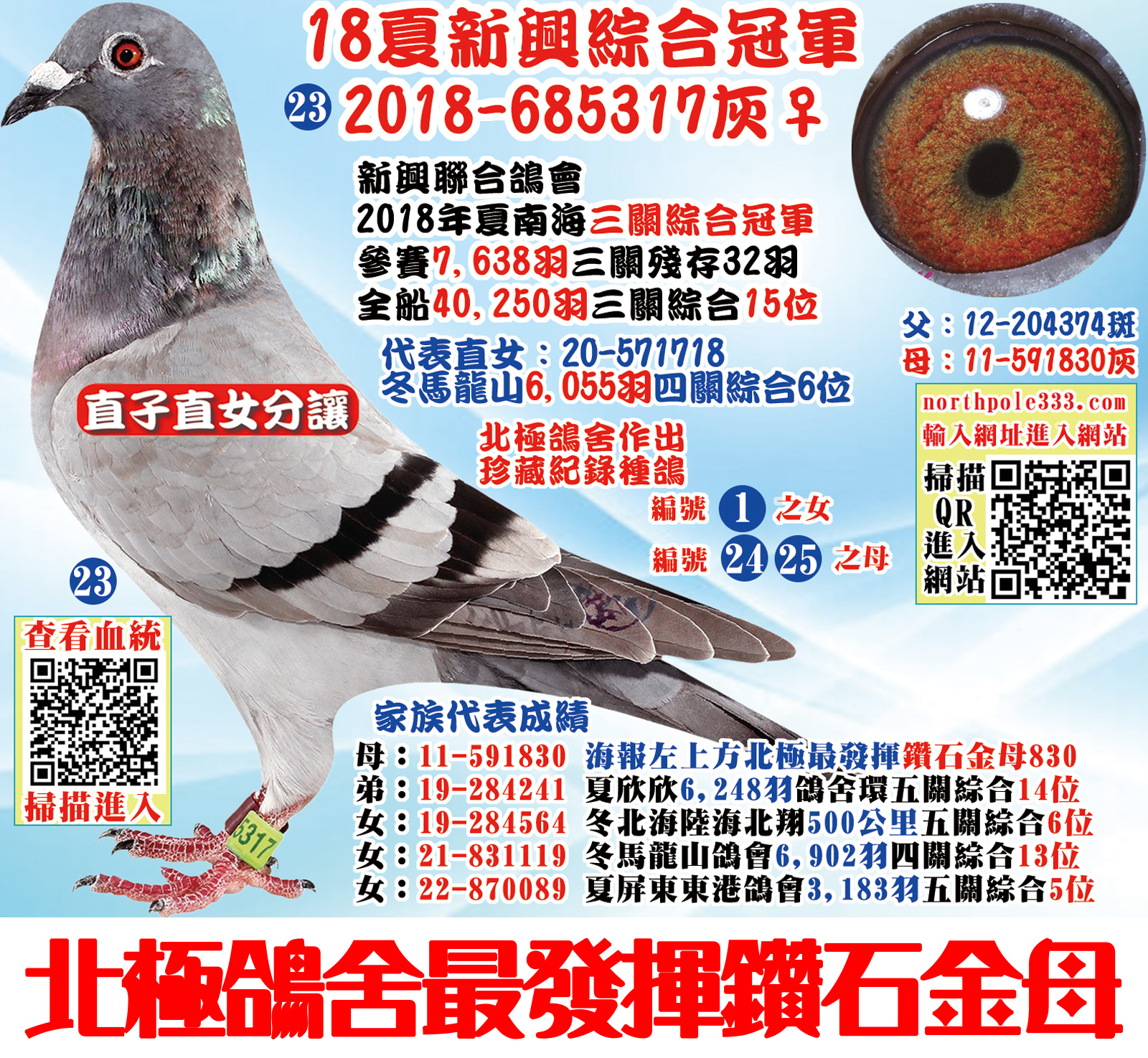 網23.jpg