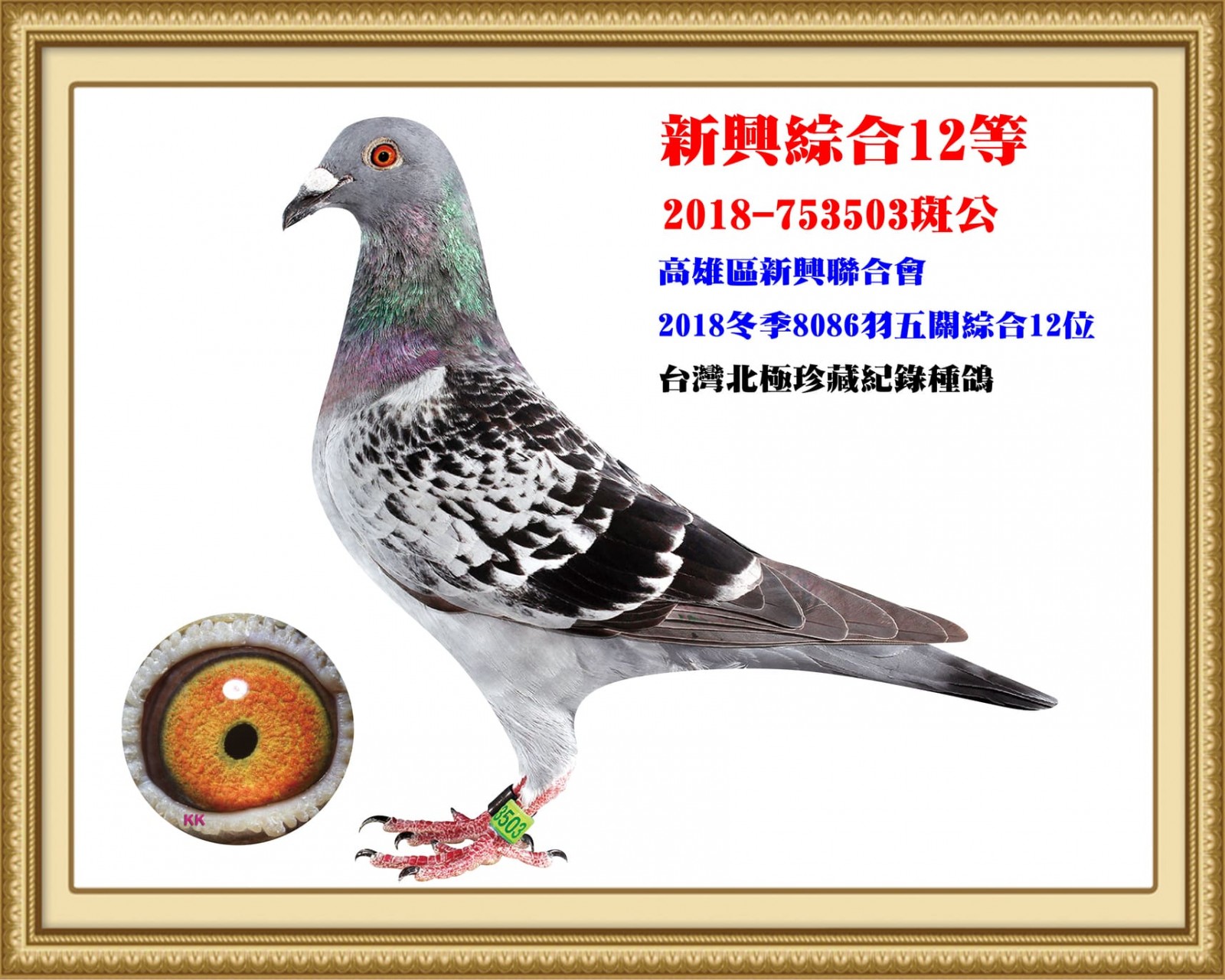 2018-753503.jpg