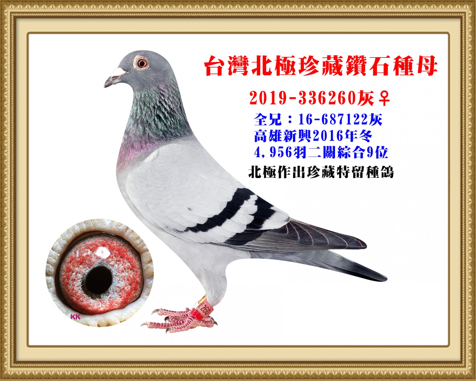 2019-336260.jpg