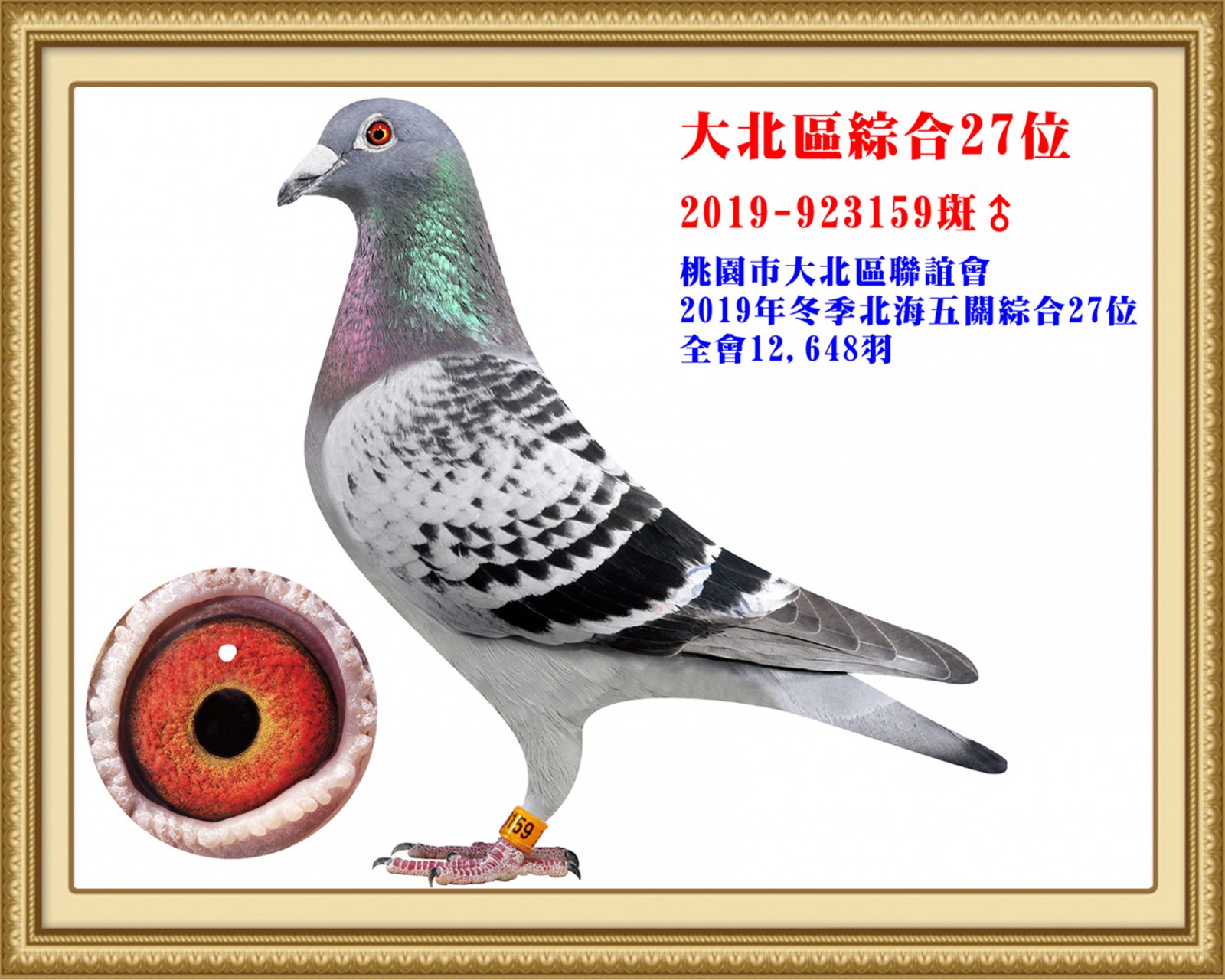 2019-923159-改1715X1372.jpg