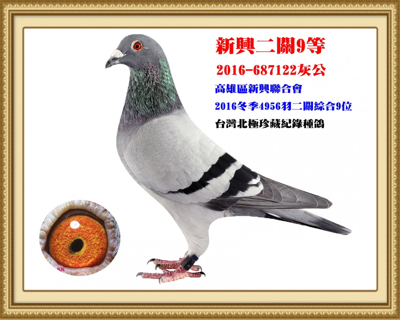 2016-687122.jpg