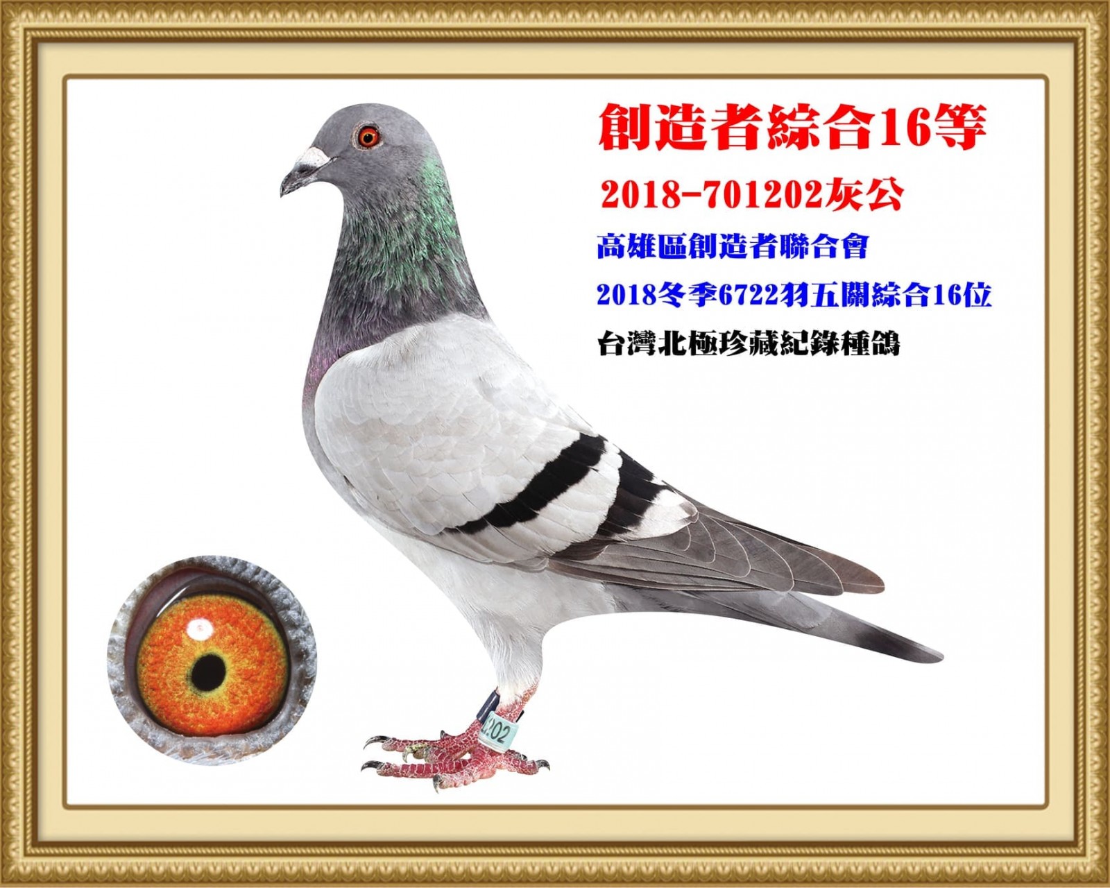 2018-701202.jpg