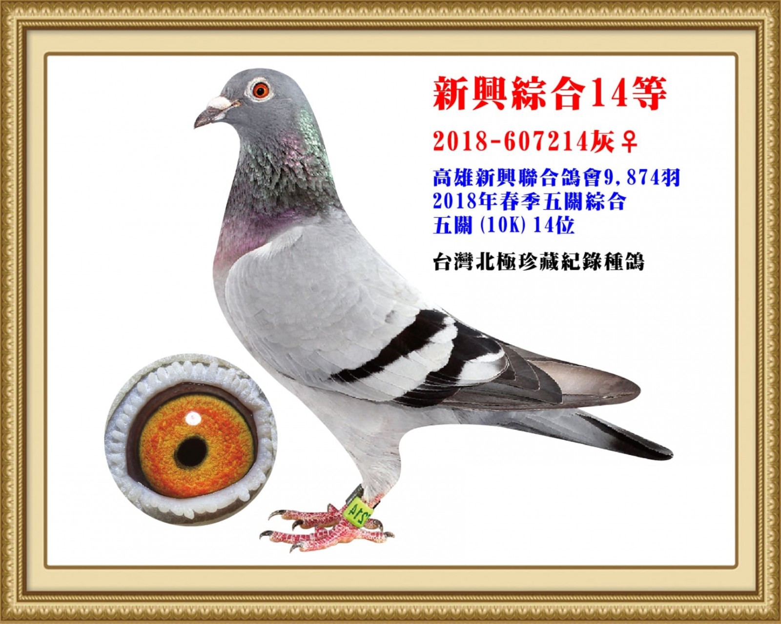 2018-607214.jpg