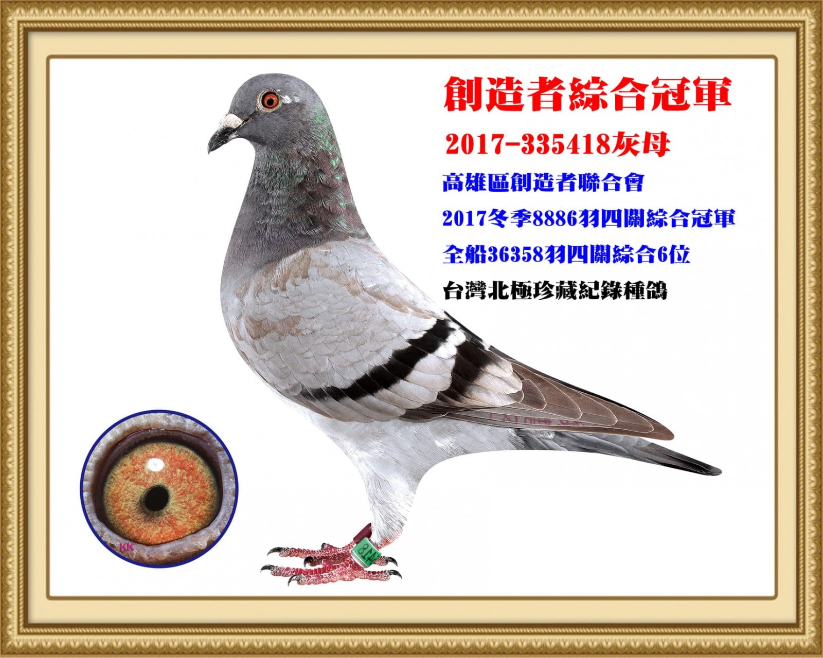 2017-335418.jpg