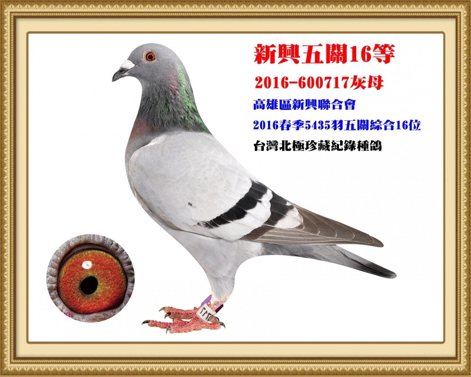 2016-600717.jpg