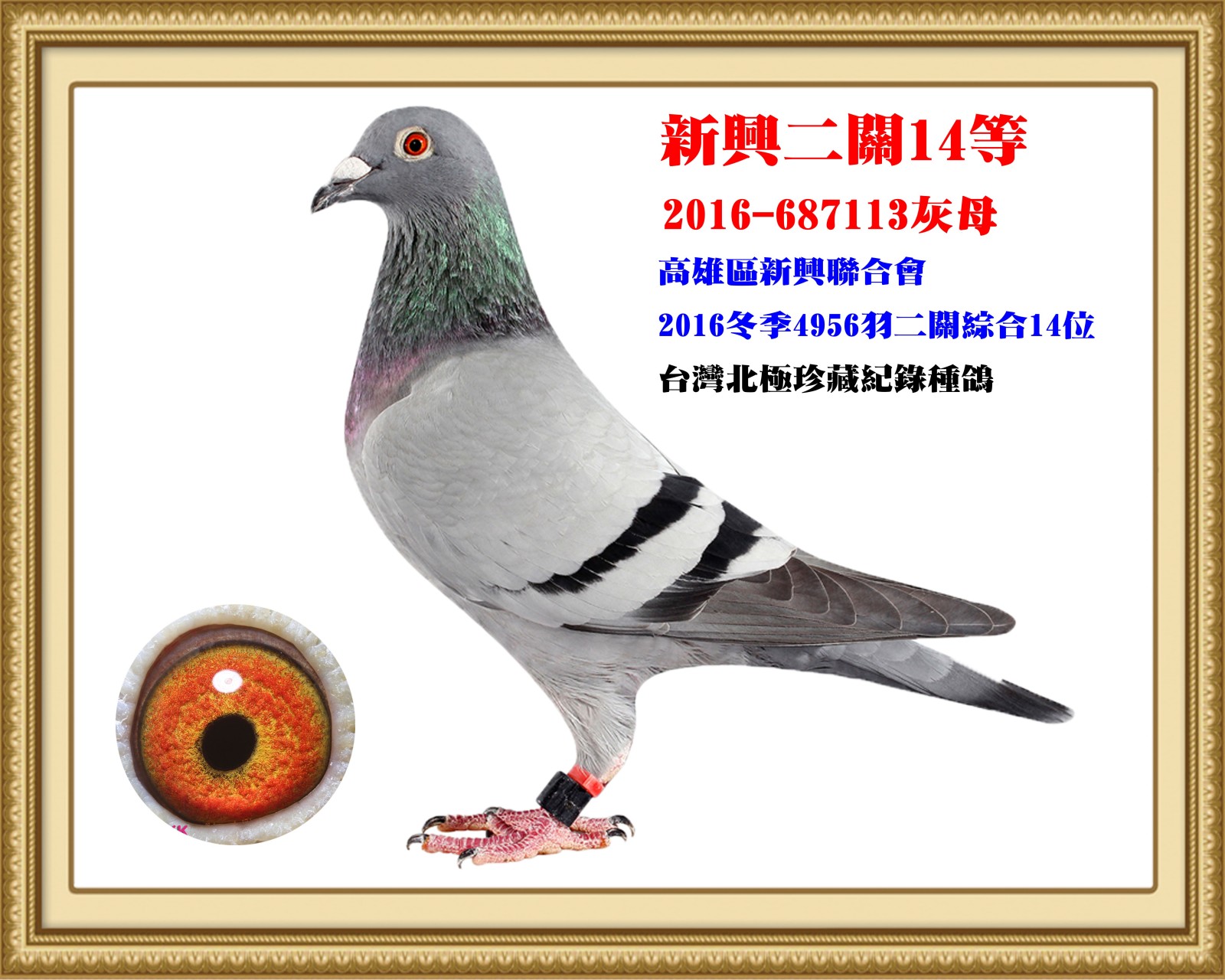 2016-687113-正確母.jpg