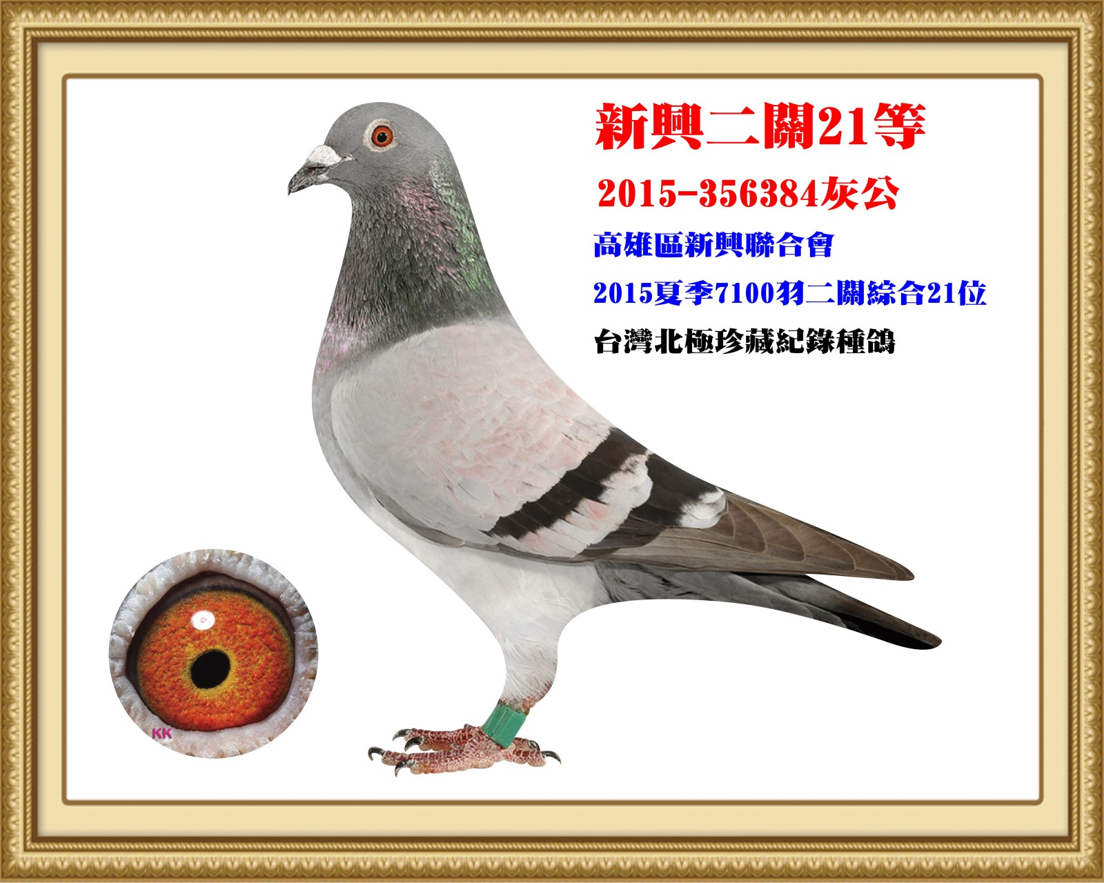 2015-356384.jpg