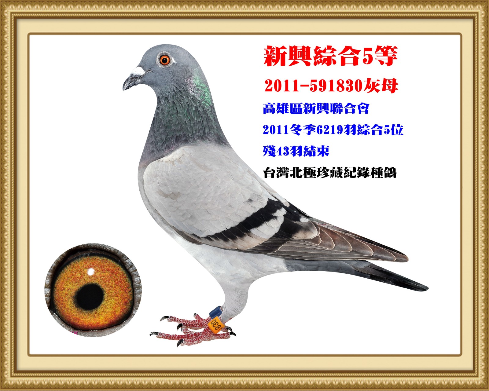 2011-591830.jpg