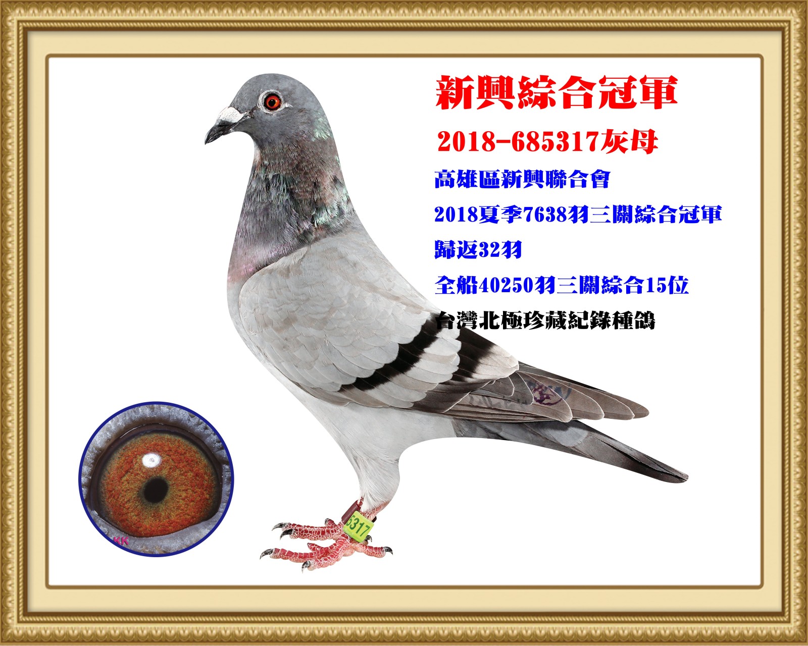 2018-685317.jpg