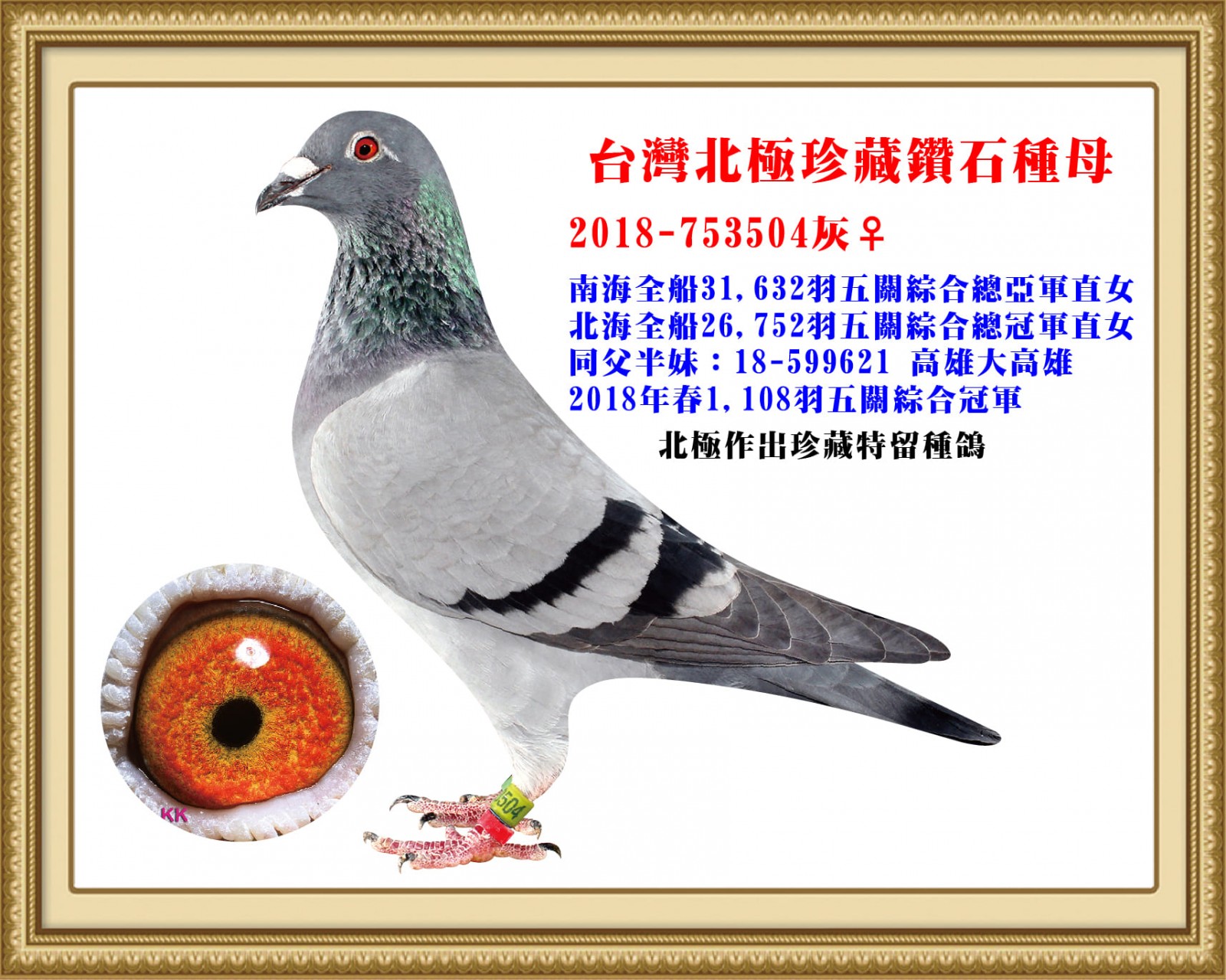 2018-753504.jpg