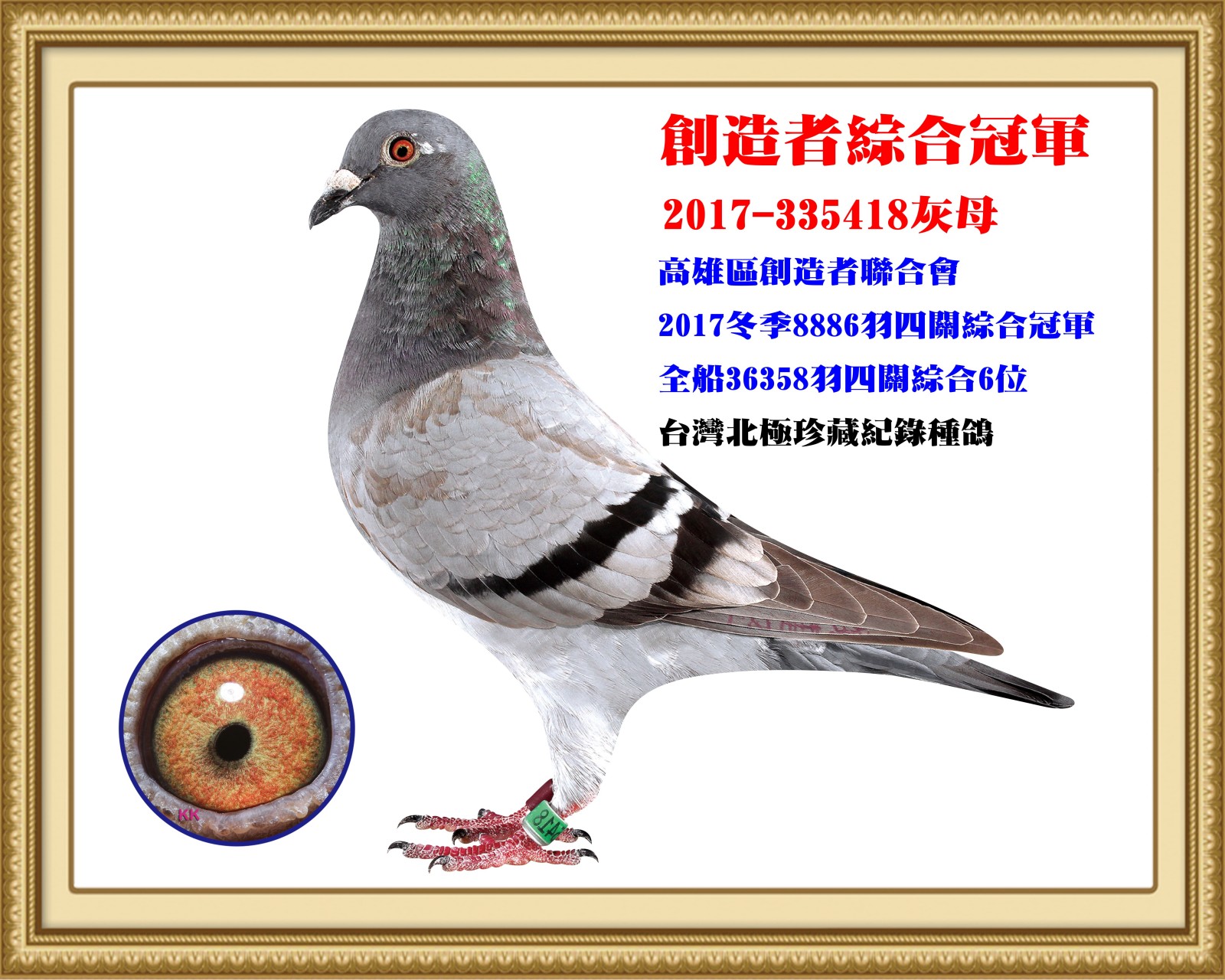 2017-335418.jpg