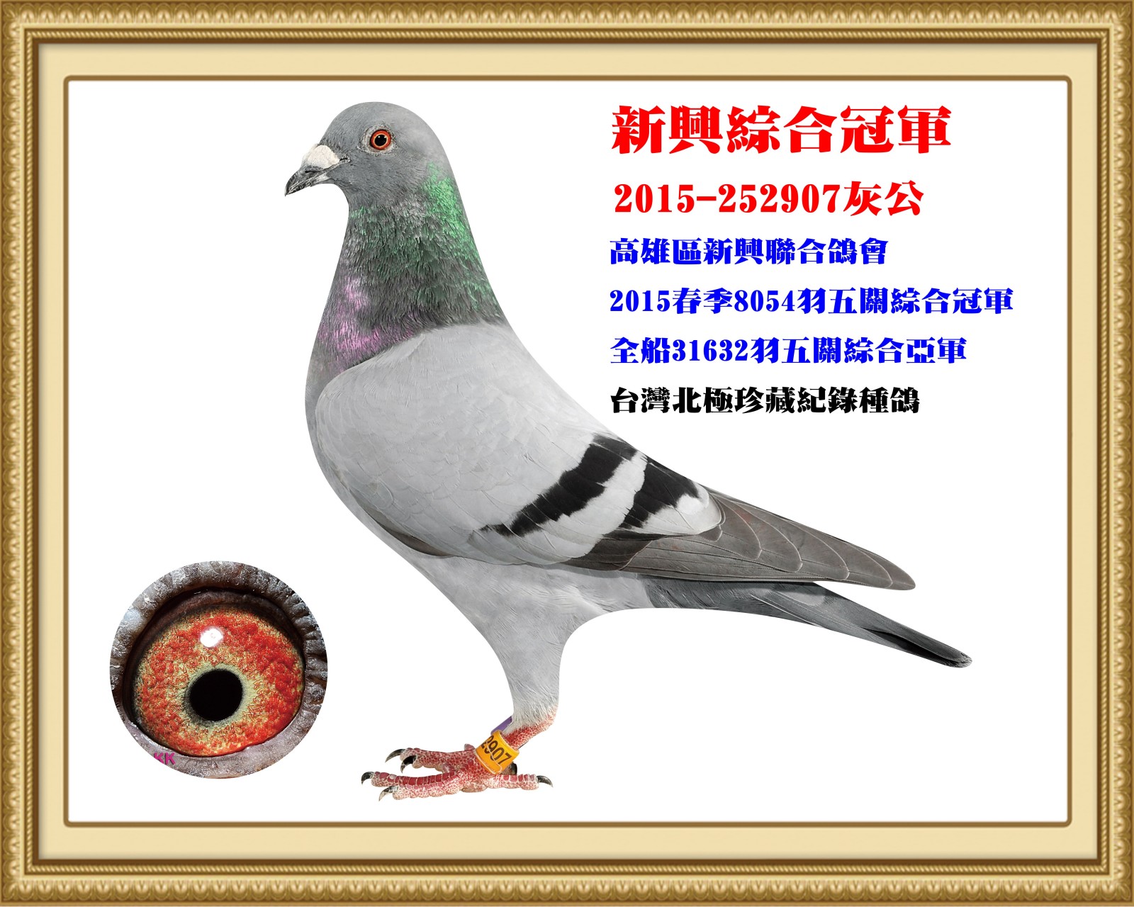2015-252907.jpg
