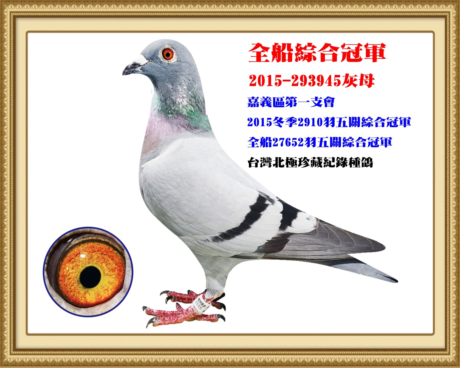 2015-293945.jpg
