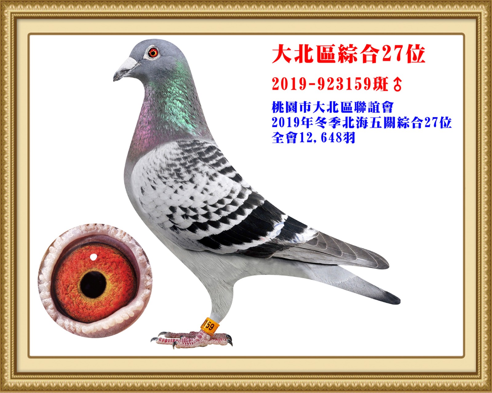 2019-923159.jpg