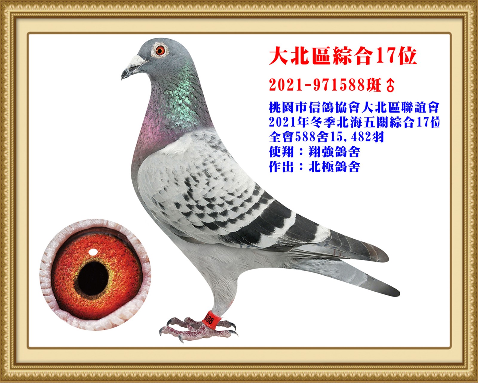 2021-971588-改.jpg