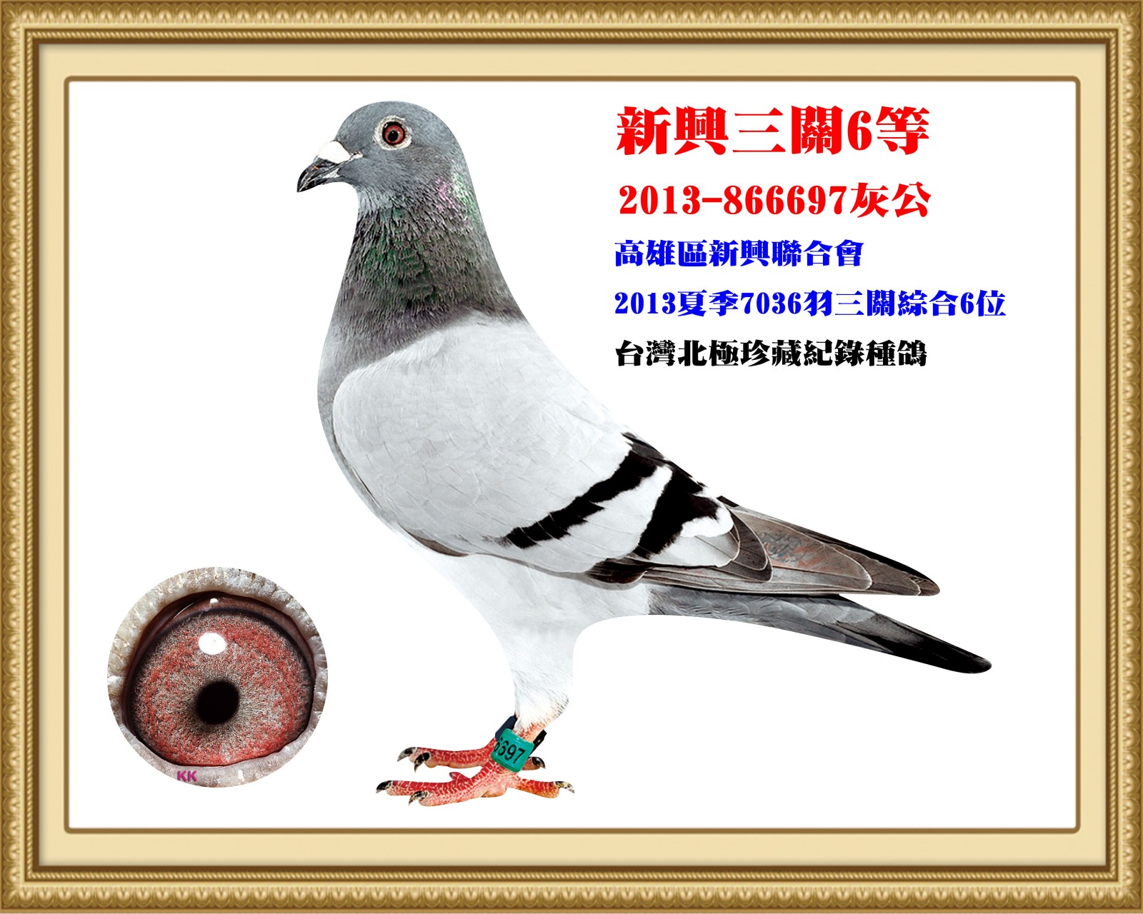 2013-866697.jpg