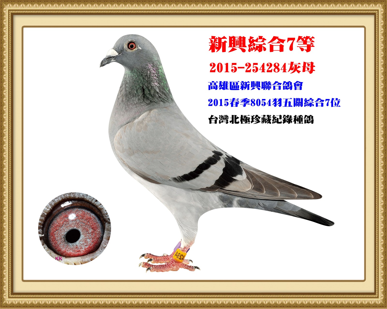 2015-254284.jpg
