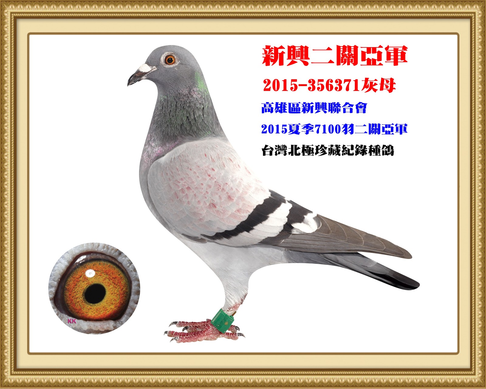 2015-356371.jpg