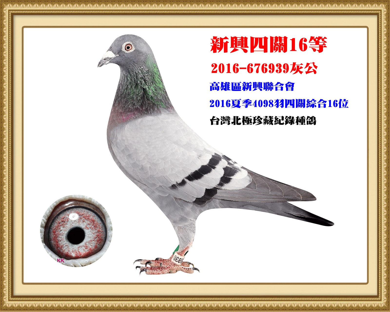 2016-676939.jpg