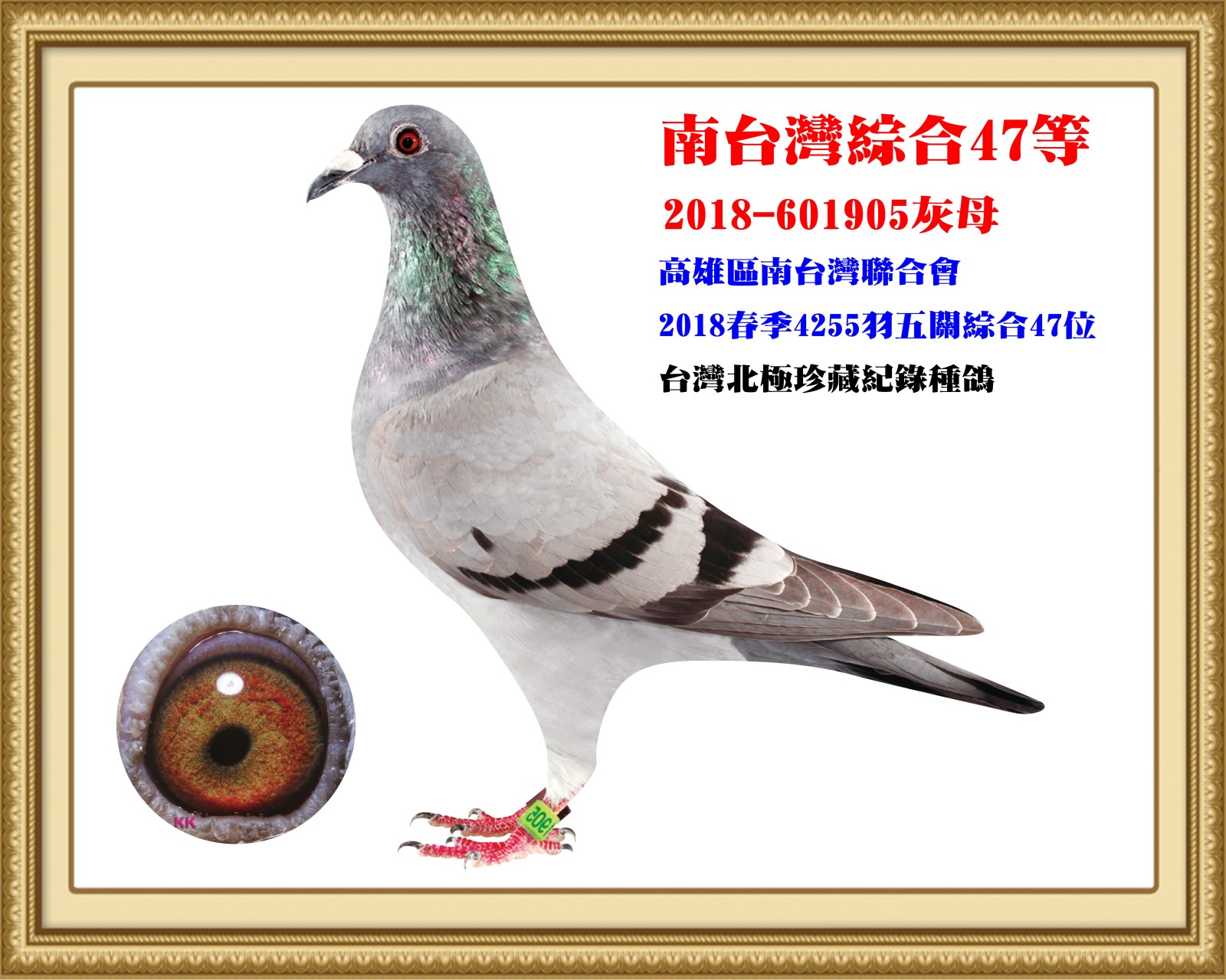 2018-601905.jpg
