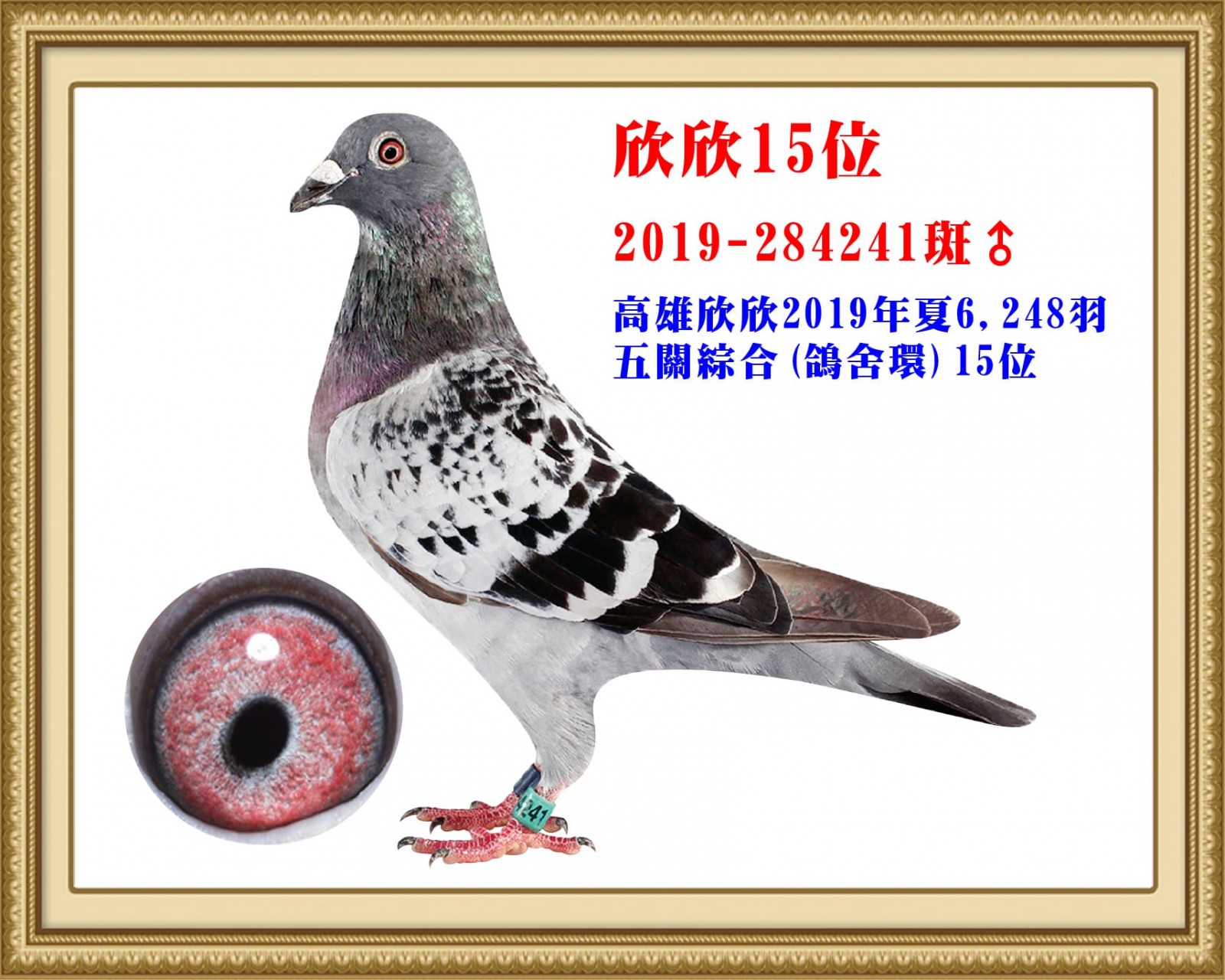 2019-284241.jpg