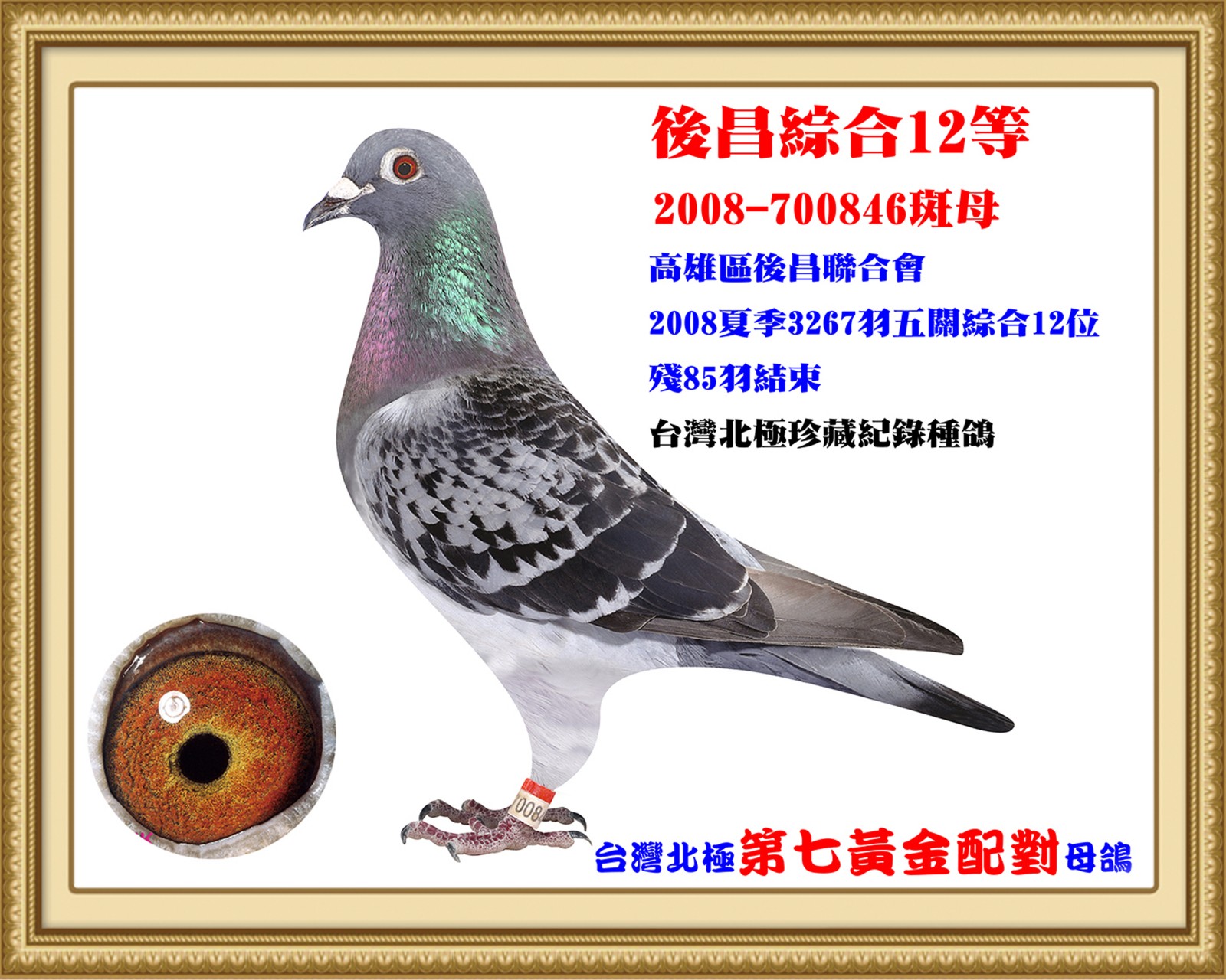 2008-700846-改.jpg