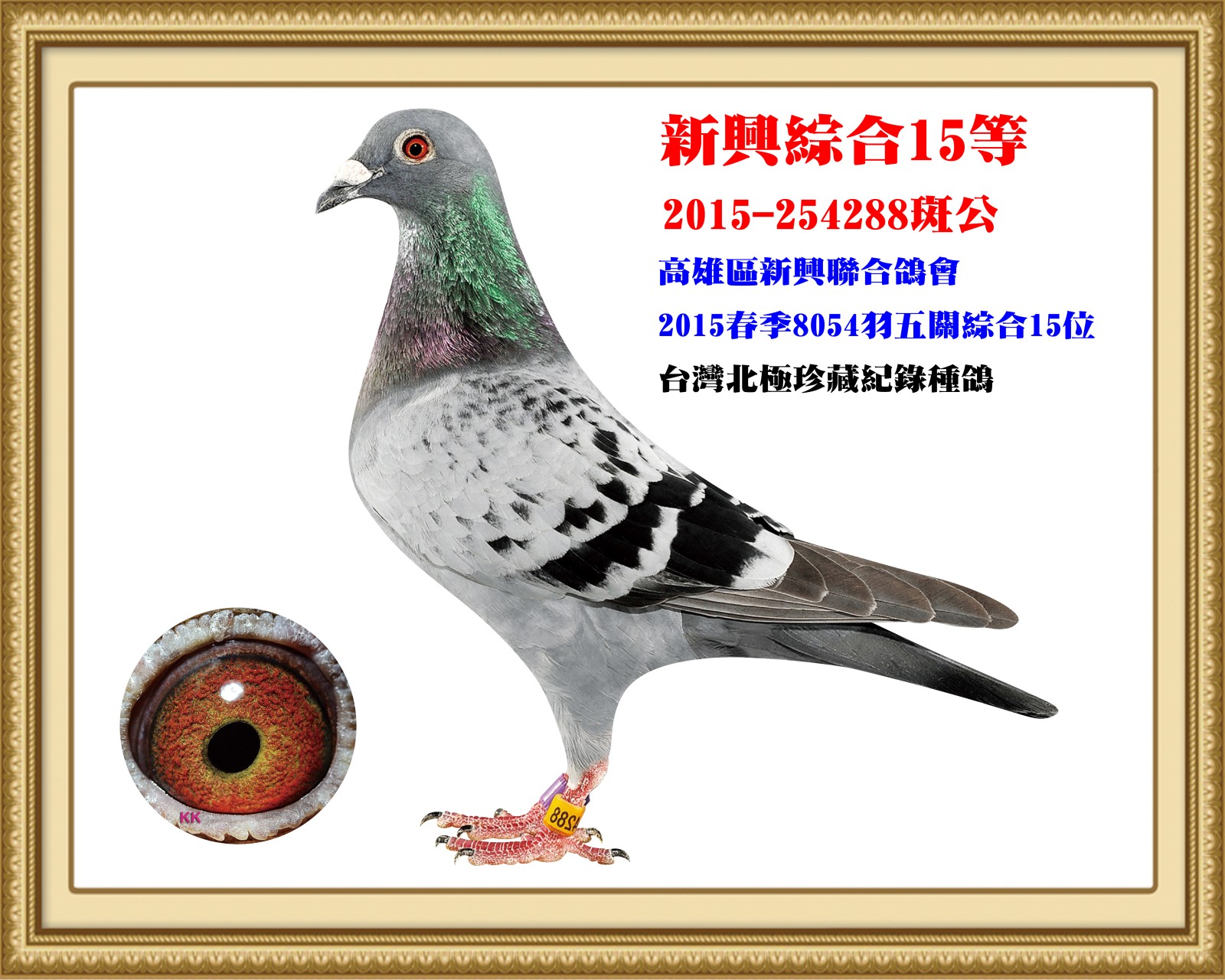 2015-254288.jpg