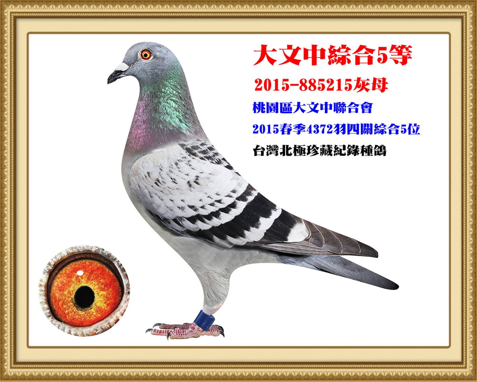 2015-885215-改.jpg