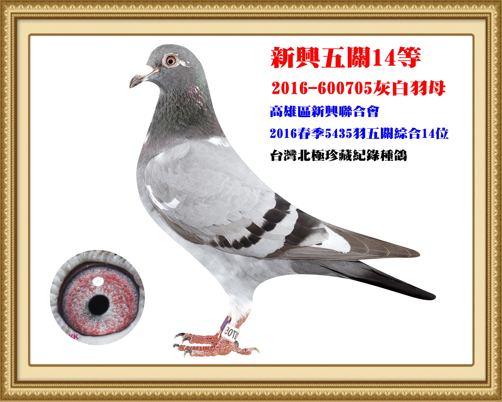 2016-600705.jpg