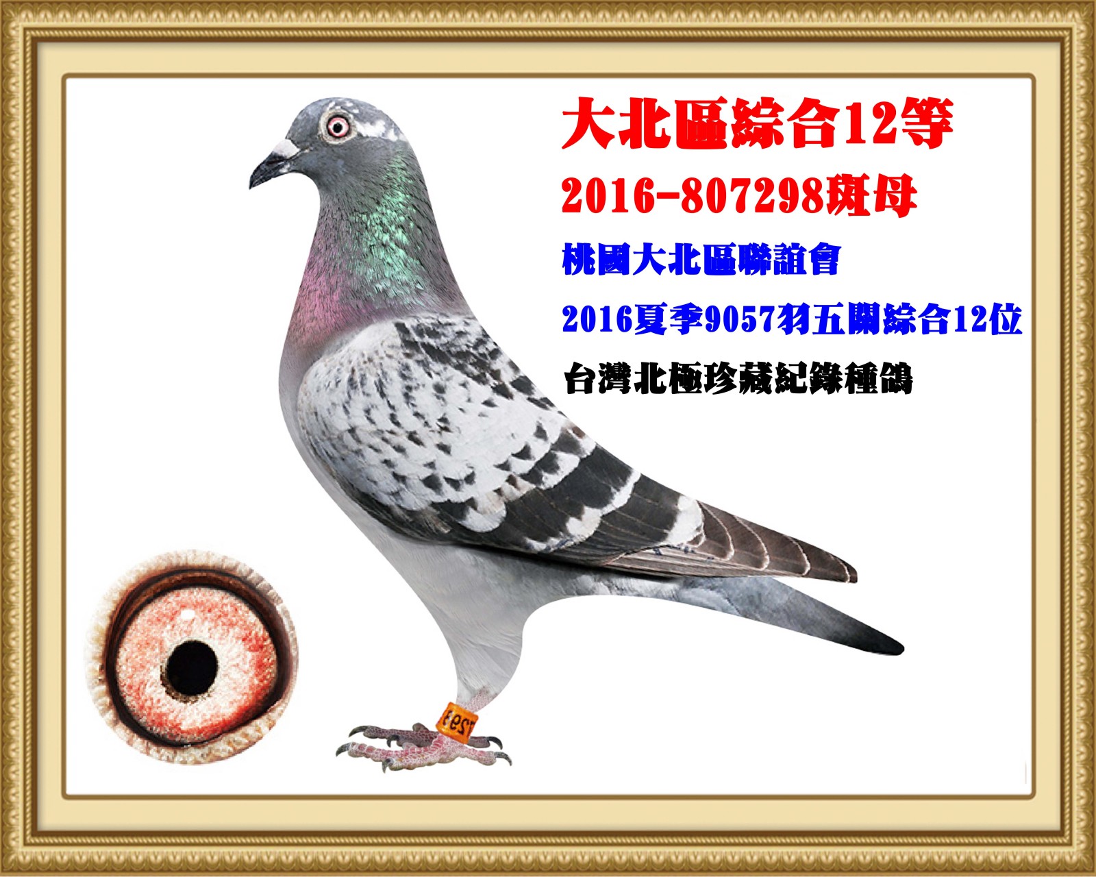 2016-807298-壓.jpg